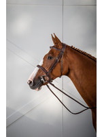 Dy'on Dy’on Cavesson Hunter Noseband Bridle