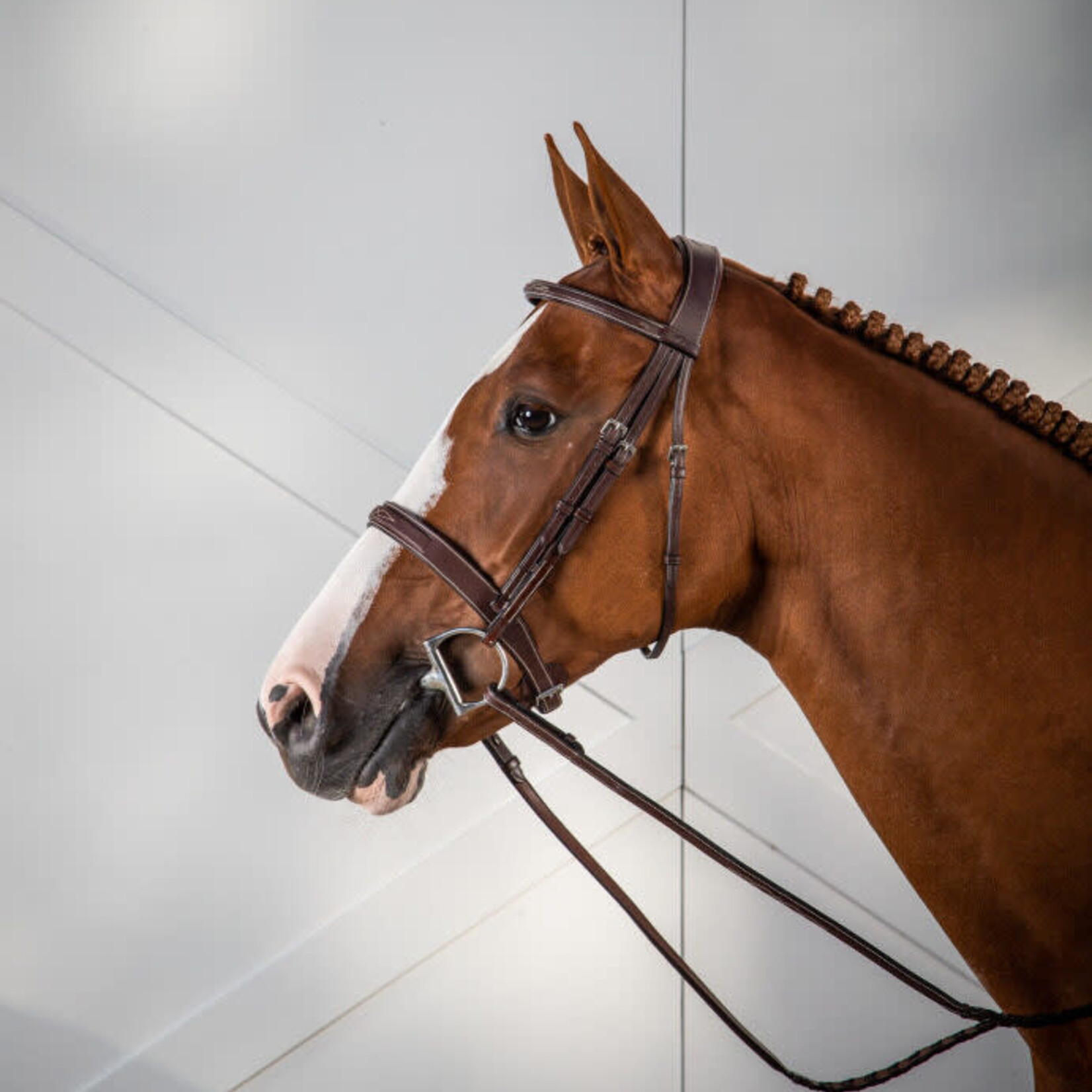 Dy'on USKOAK Dy’on Cavesson Hunter Noseband Bridle
