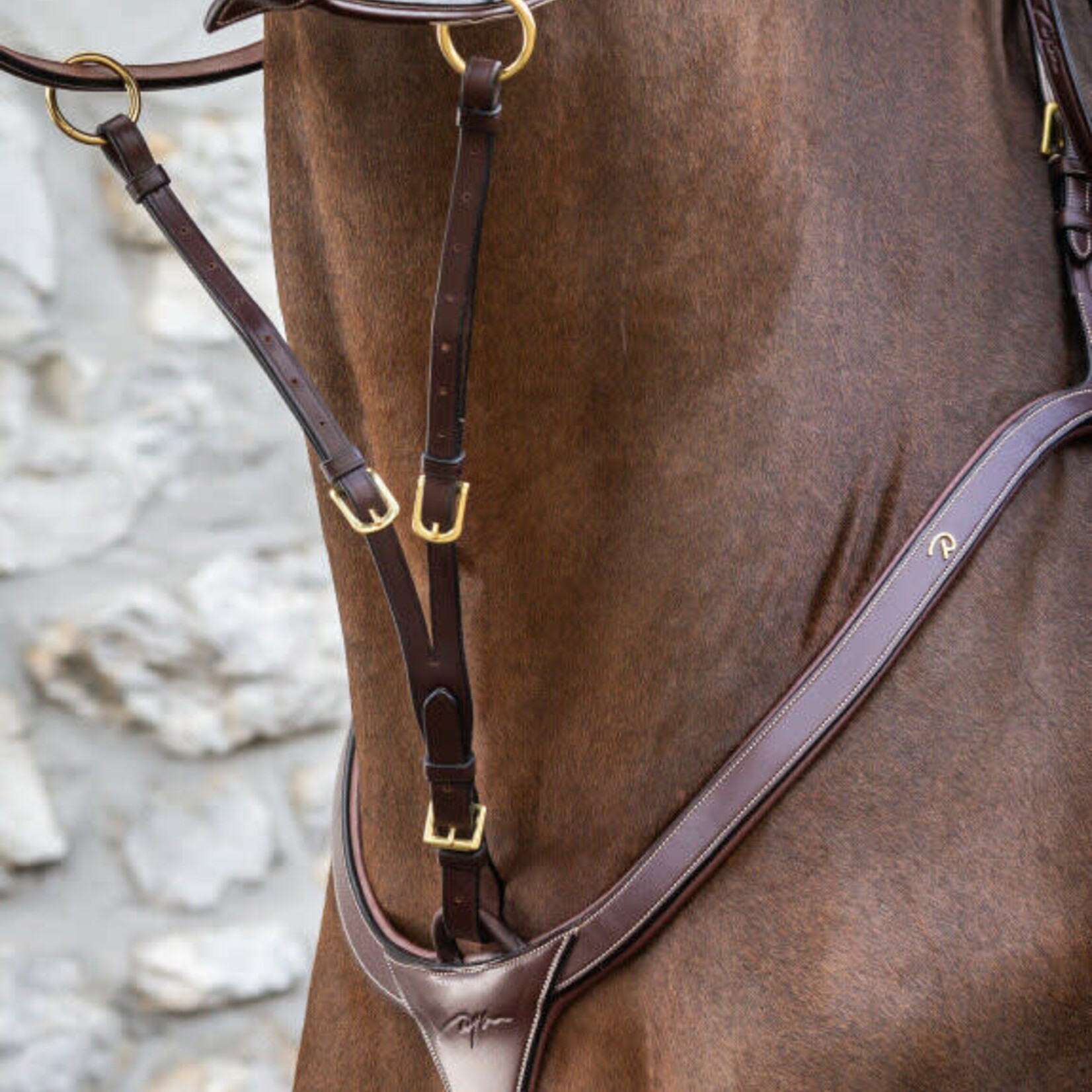 Dy'on DY07A Dy’on D-Collection Running Martingale Attachment