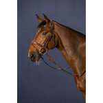 Dy'on DYABAB Dy'on D-Collection Anatomic Flash Noseband Bridle