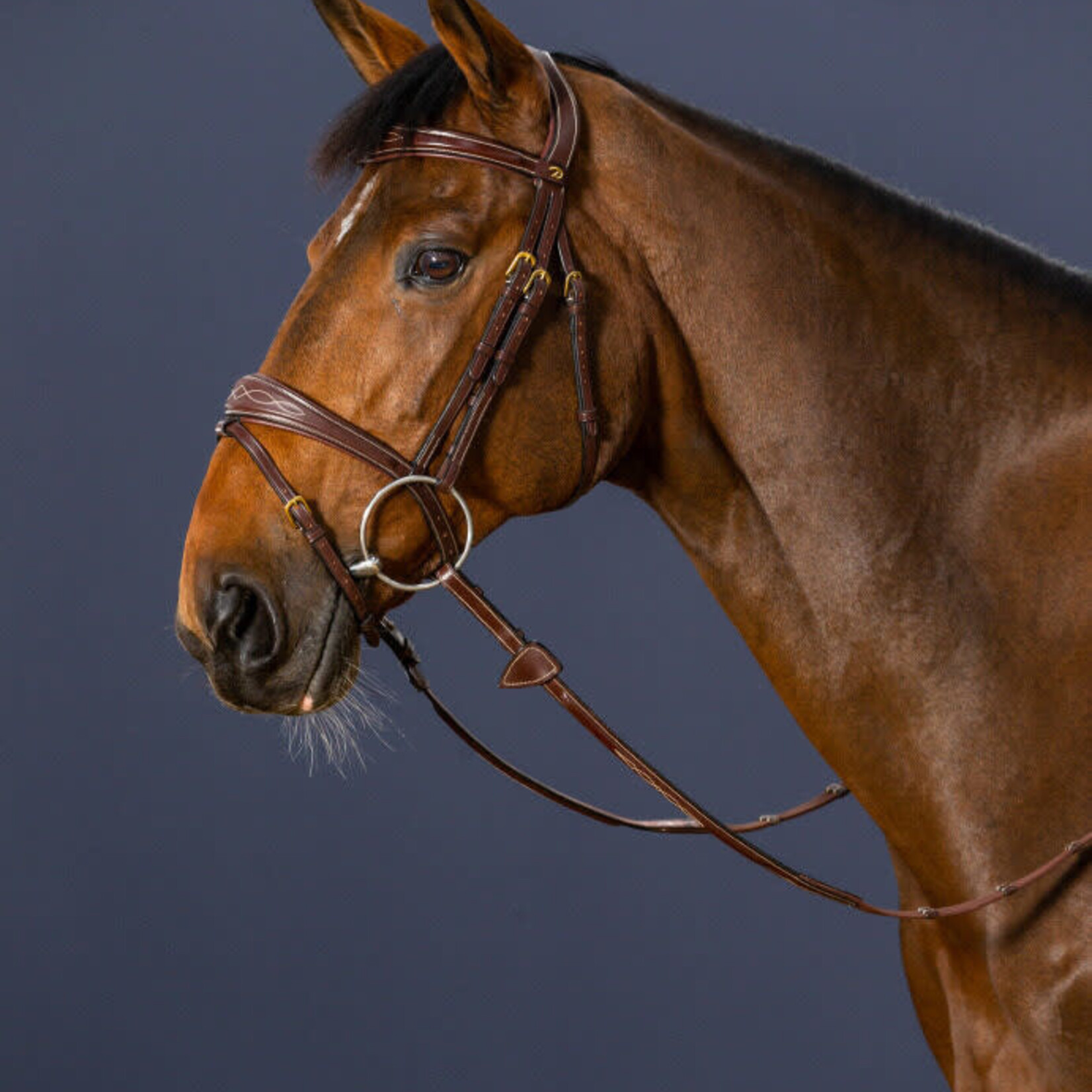 Dy'on DYABAB Dy'on D-Collection Anatomic Flash Noseband Bridle