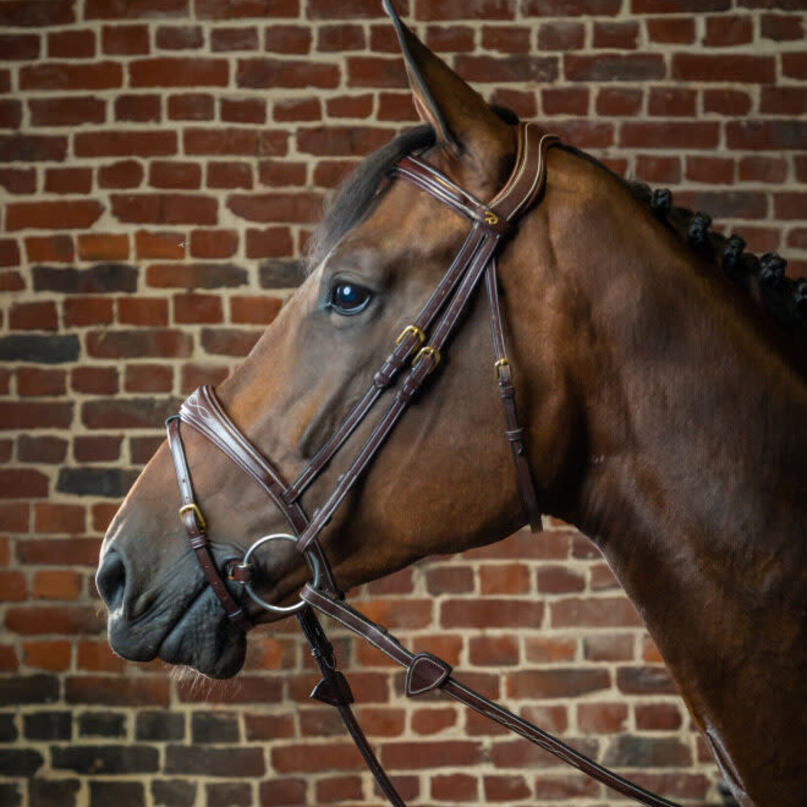 Dy'on DYABAB Dy'on D-Collection Anatomic Flash Noseband Bridle