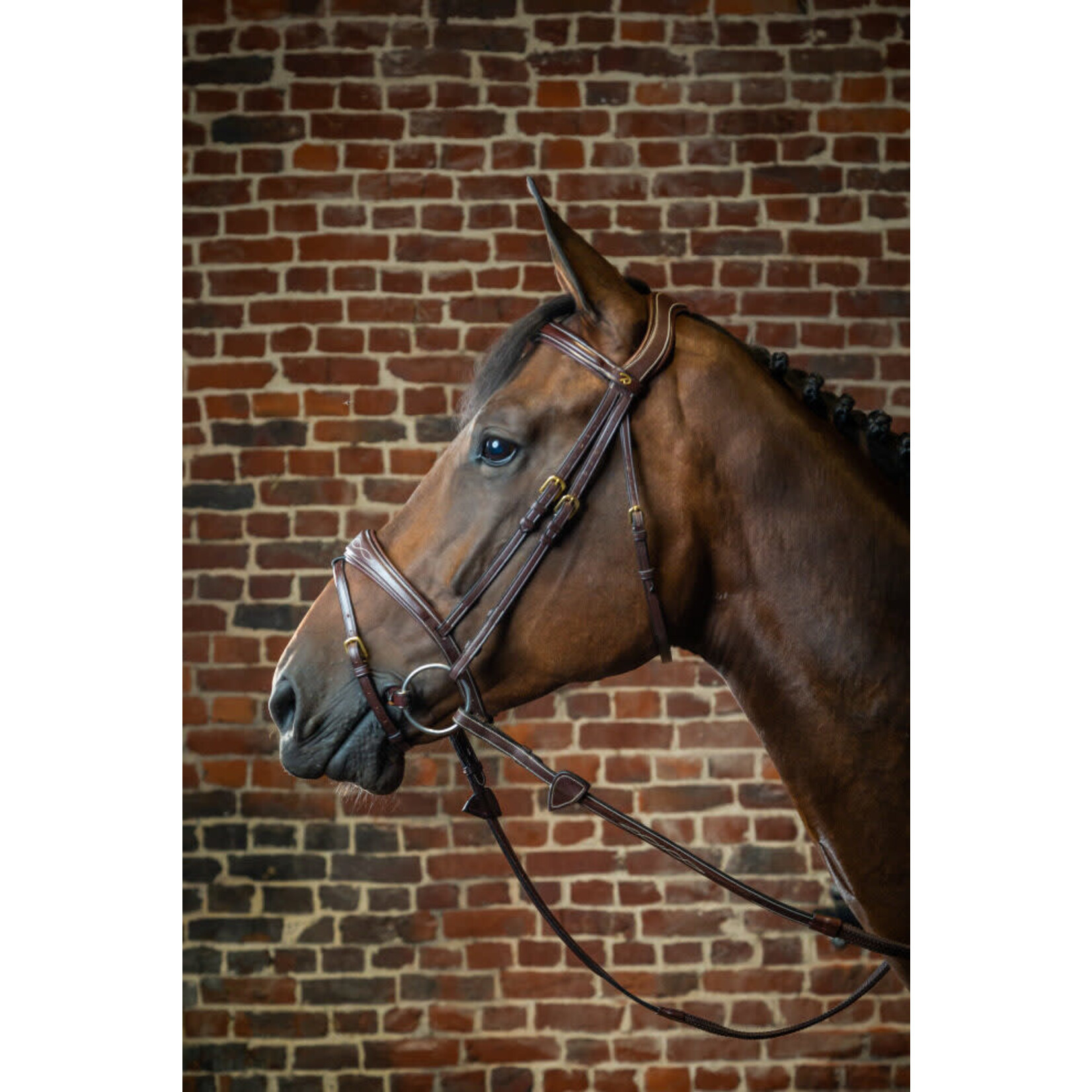 Dy'on DYABAB Dy'on D-Collection Anatomic Flash Noseband Bridle