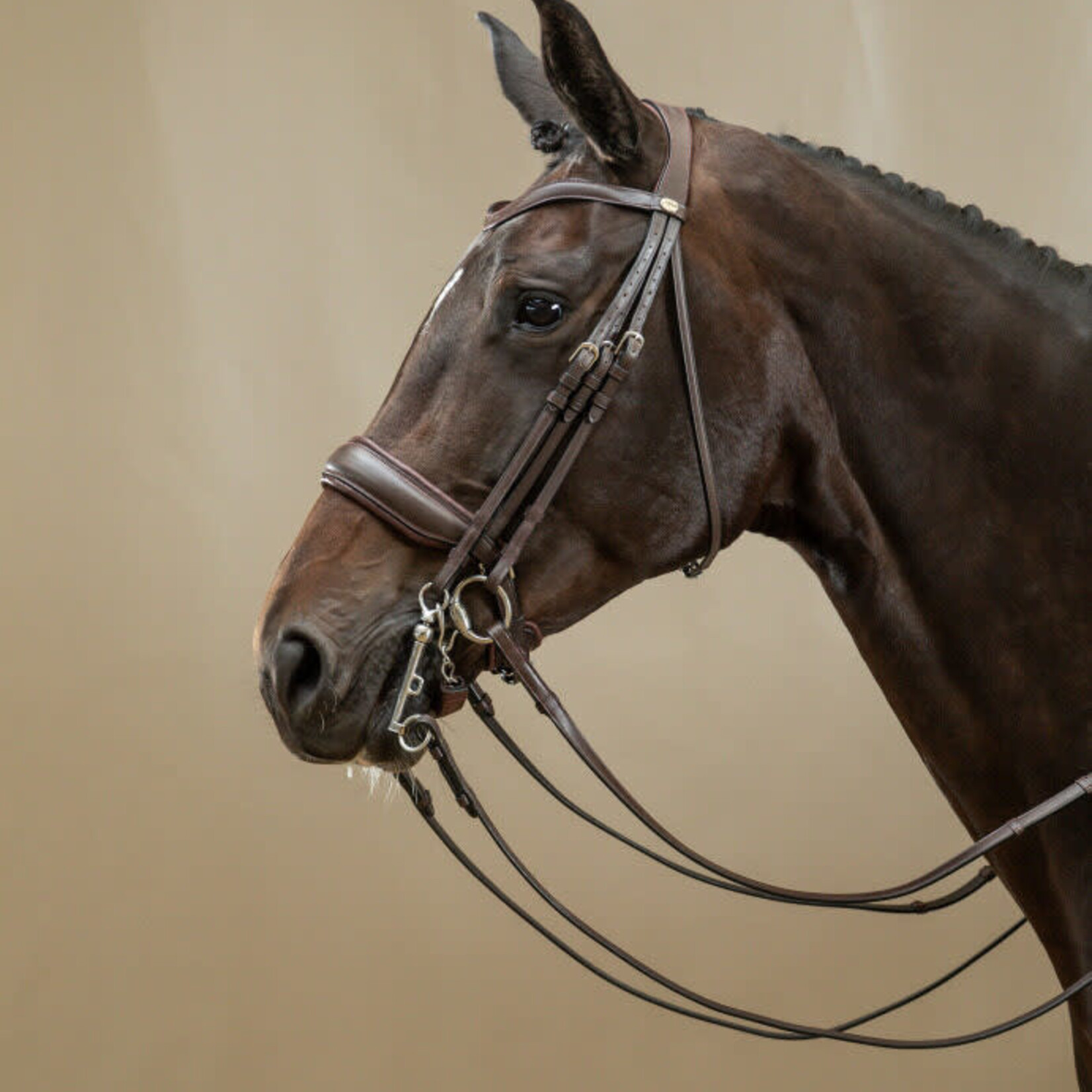 Dy'on B168 Dy’on Working Collection Classic Crank Noseband Bridle