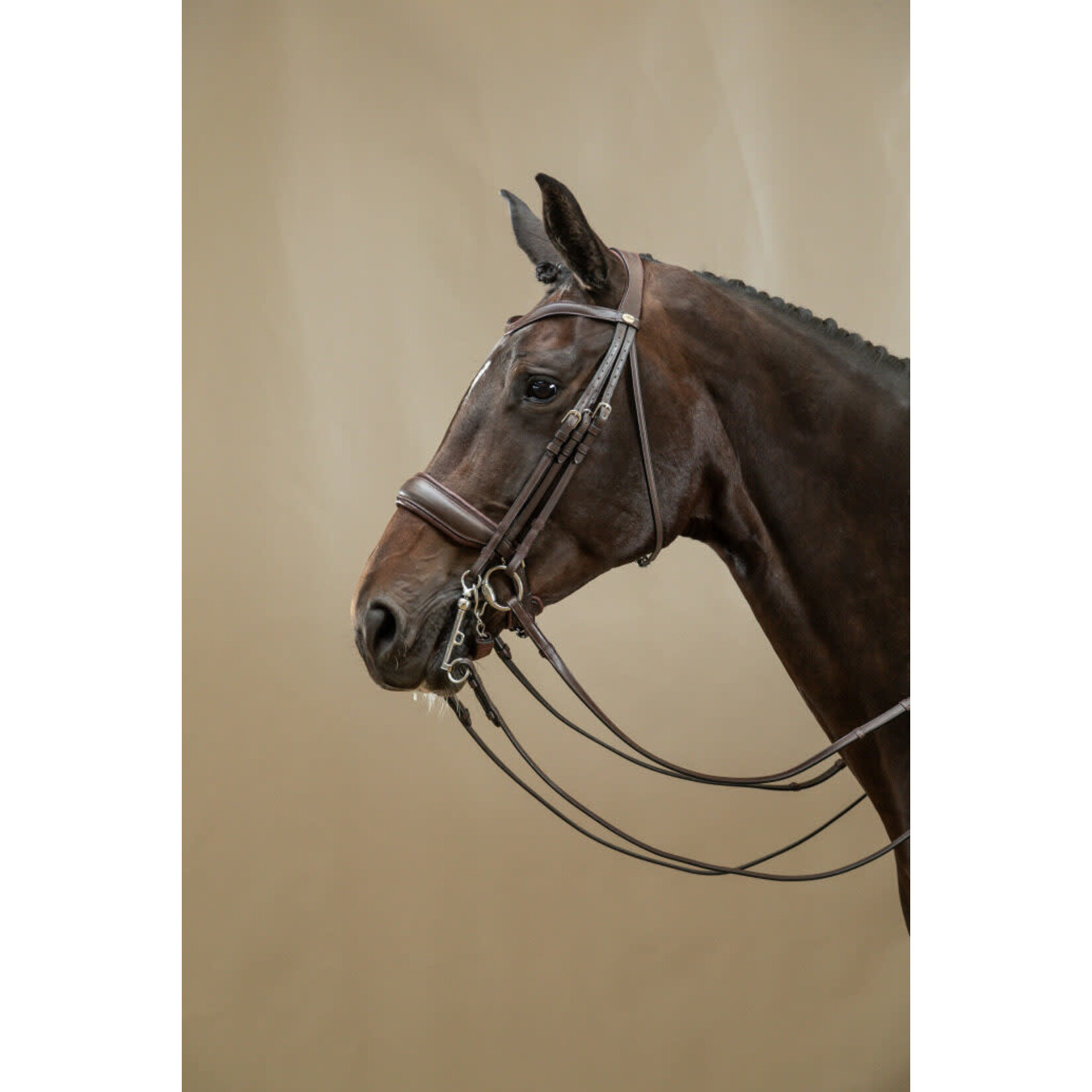 Dy'on B168 Dy’on Working Collection Classic Crank Noseband Bridle