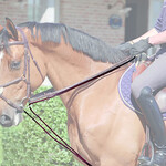 Dy'on Dy’on D-Collection 5/8" Leather/Nylon Draw Reins
