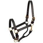 100 Perri’s Show Halter