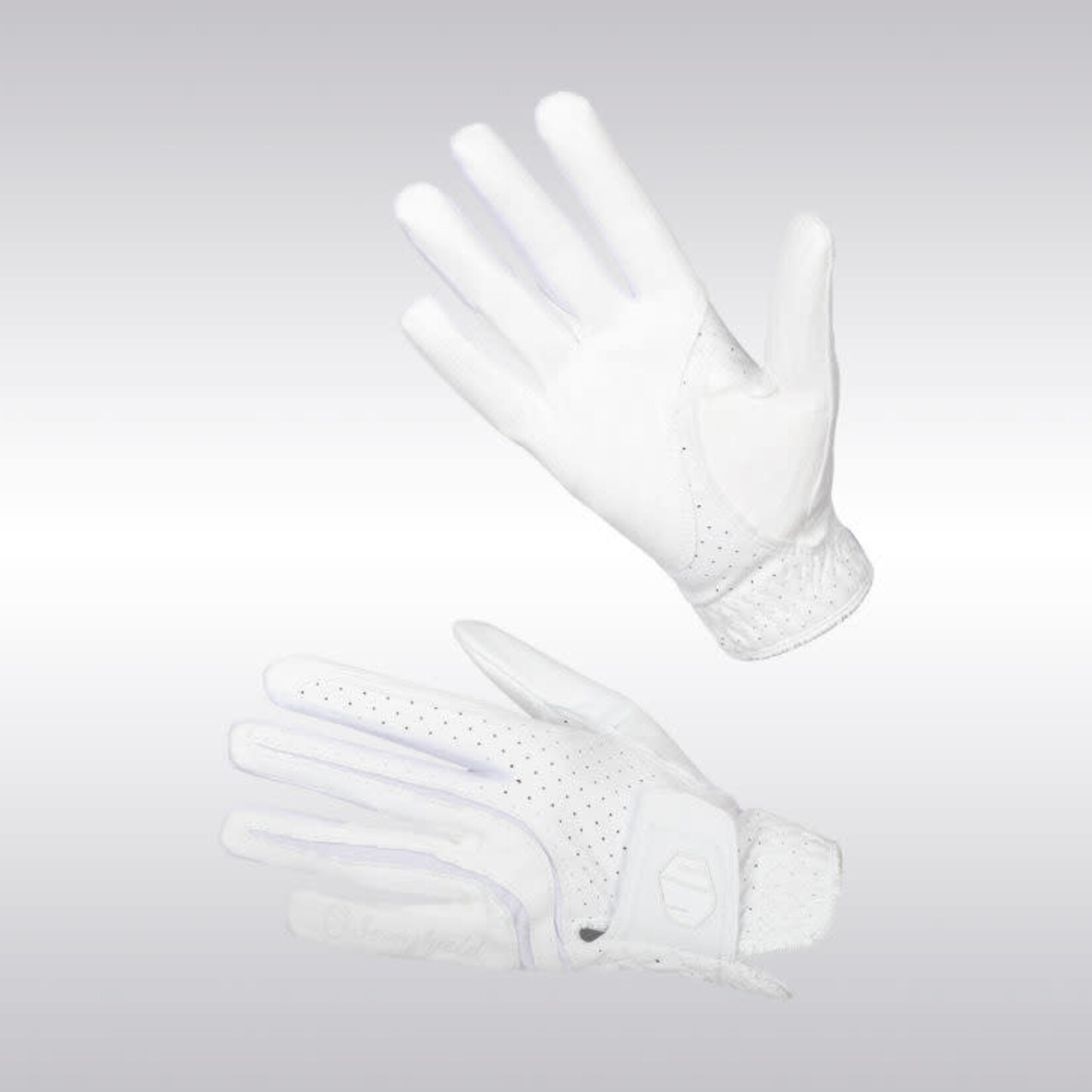 Samshield Samshield Unisex V-Skin Gloves