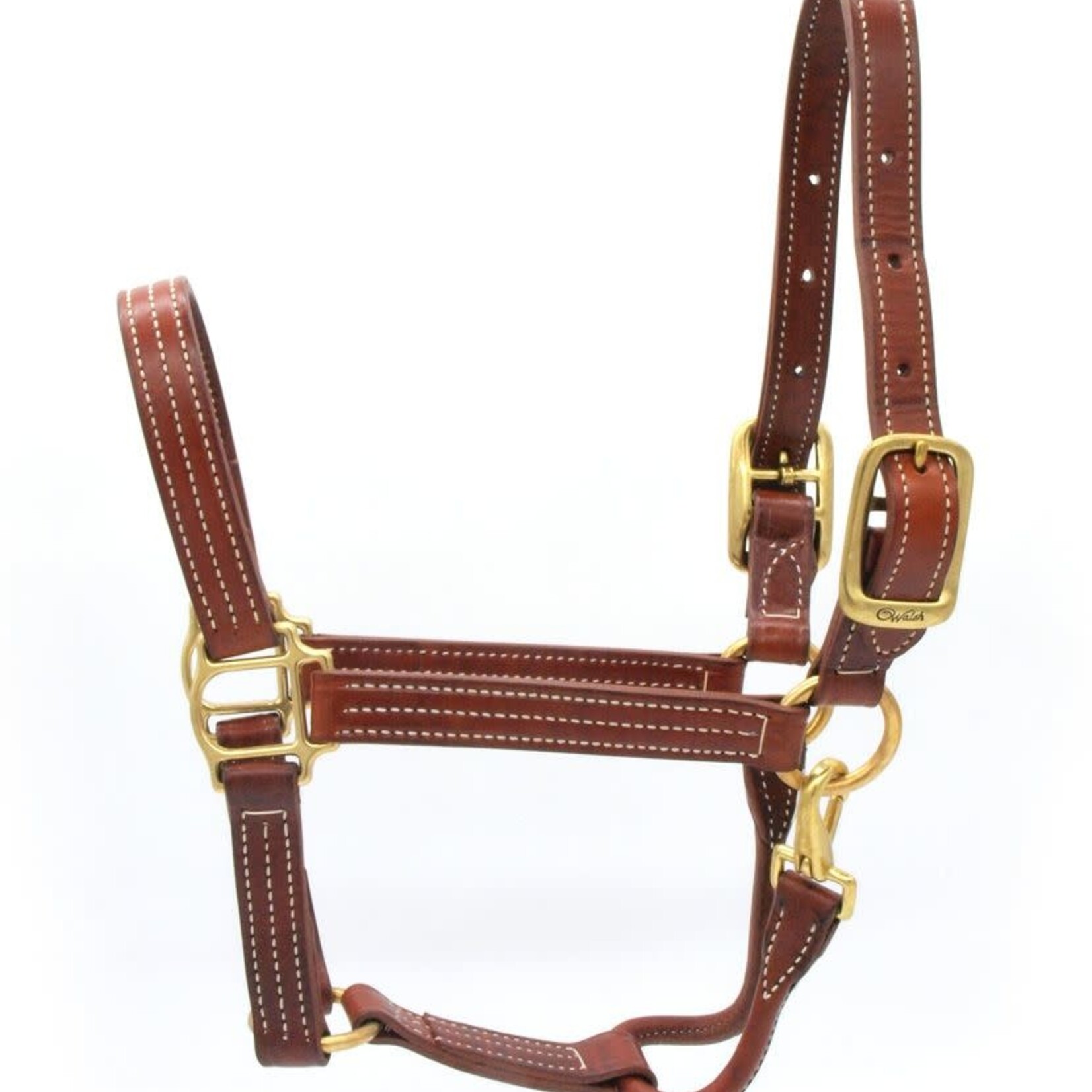 Walsh Company Walsh British Halter