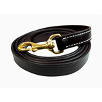 Walsh Company Walsh Leather Lead w/ Snap