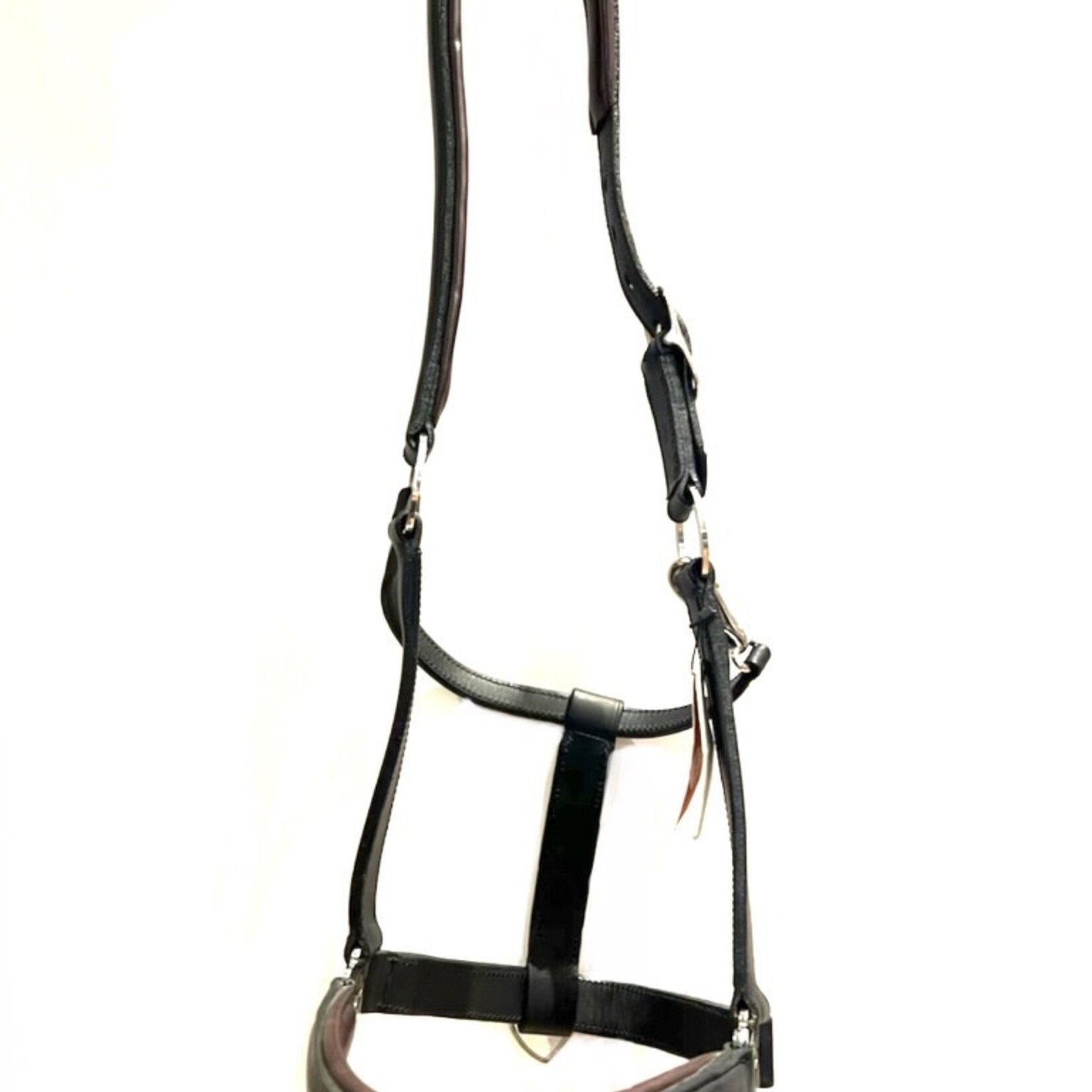 Maybach Maybach Halter Trust I