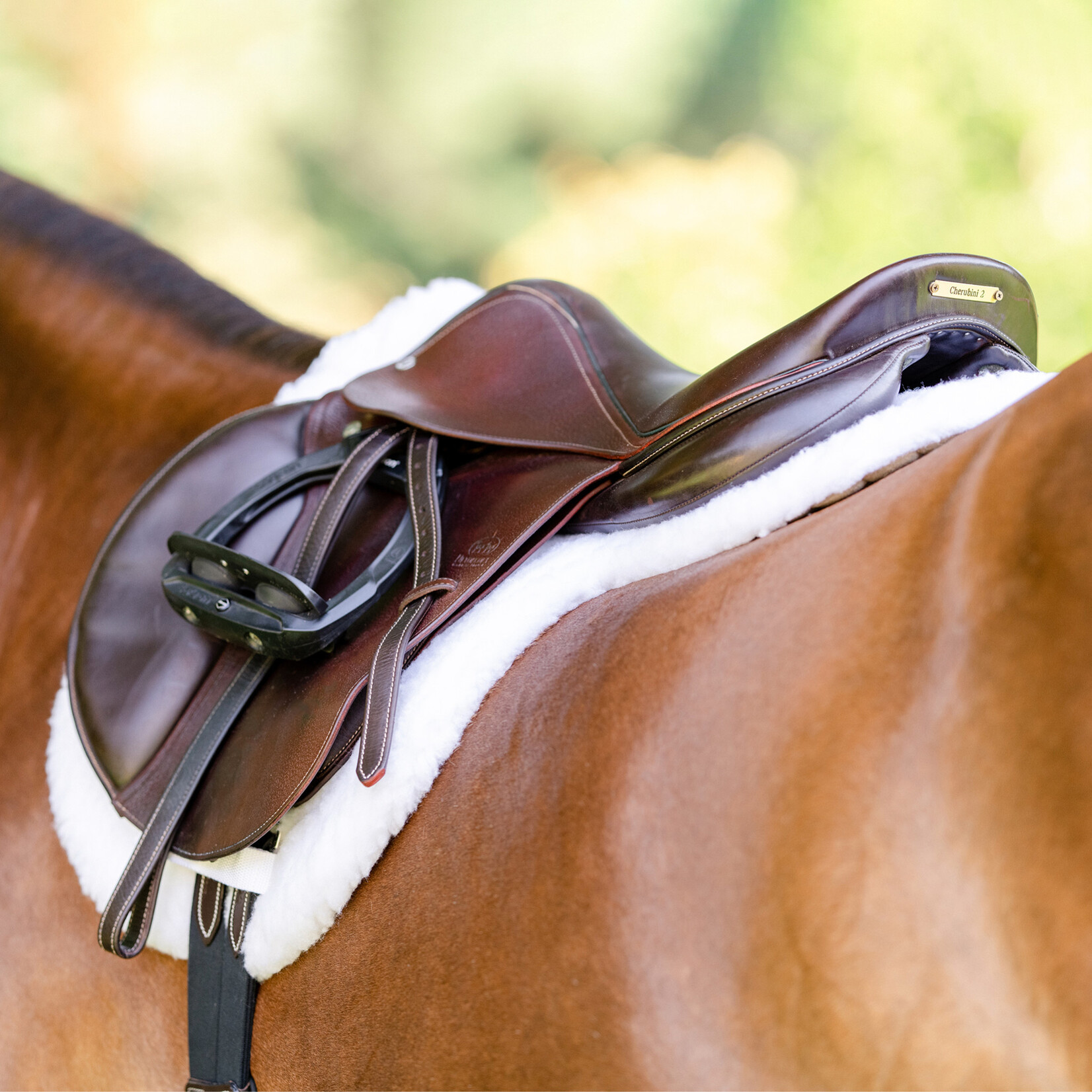 Tapis de selle ESSENTIAL SQUARE PAD | EQUIFIT - Équitavi Tapis de selle ESSENTIAL SQUARE PAD | EQUIFIT - Équitavi