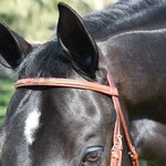 Equusport Equusport Jimmy’s Fancy Stitch Browband