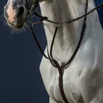 Dy'on NE07G Dy'on Running Martingale w/ Cream Fancy Stitching w/ Steel Hardware