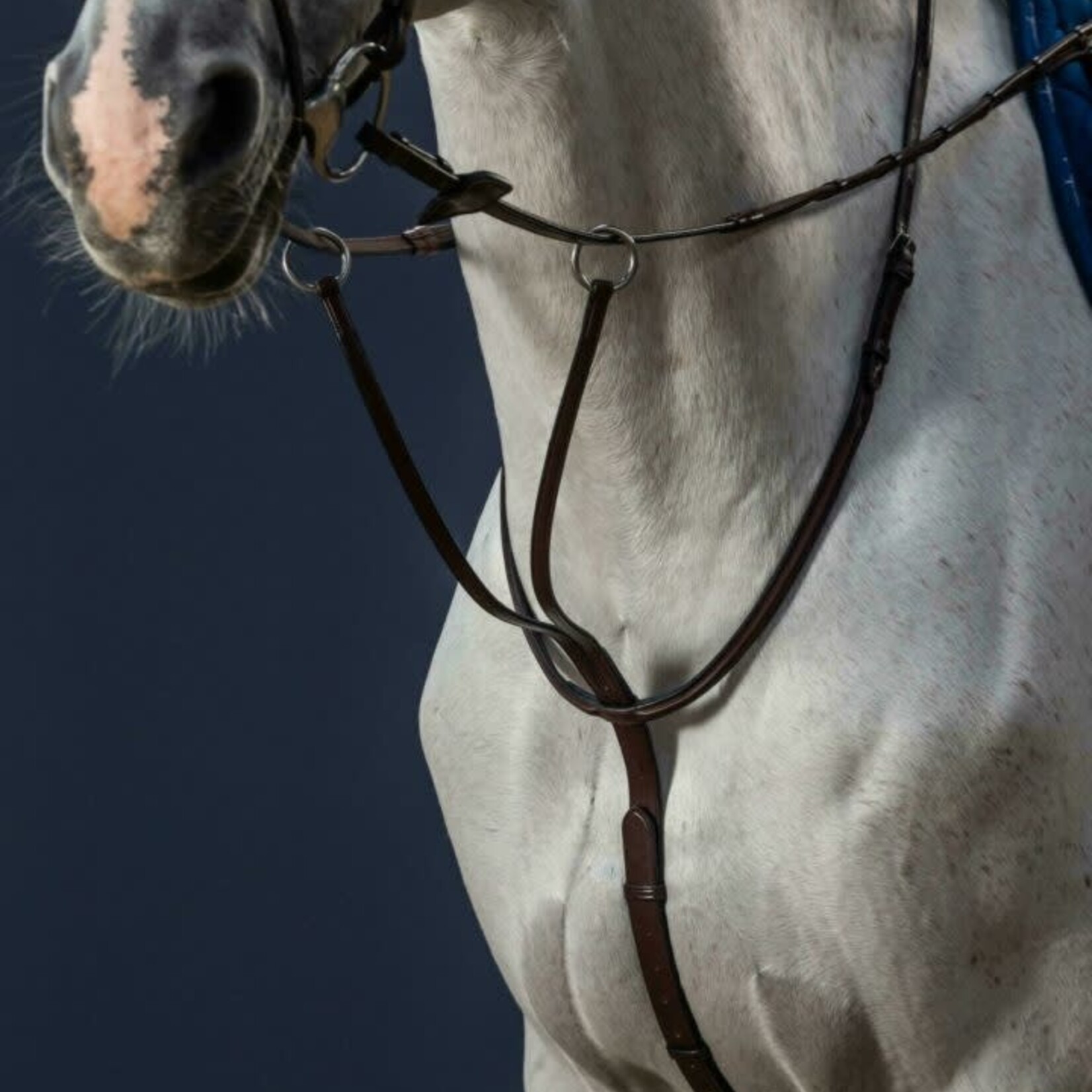 Dy'on NE07G Dy'on Running Martingale w/ Cream Fancy Stitching w/ Steel Hardware