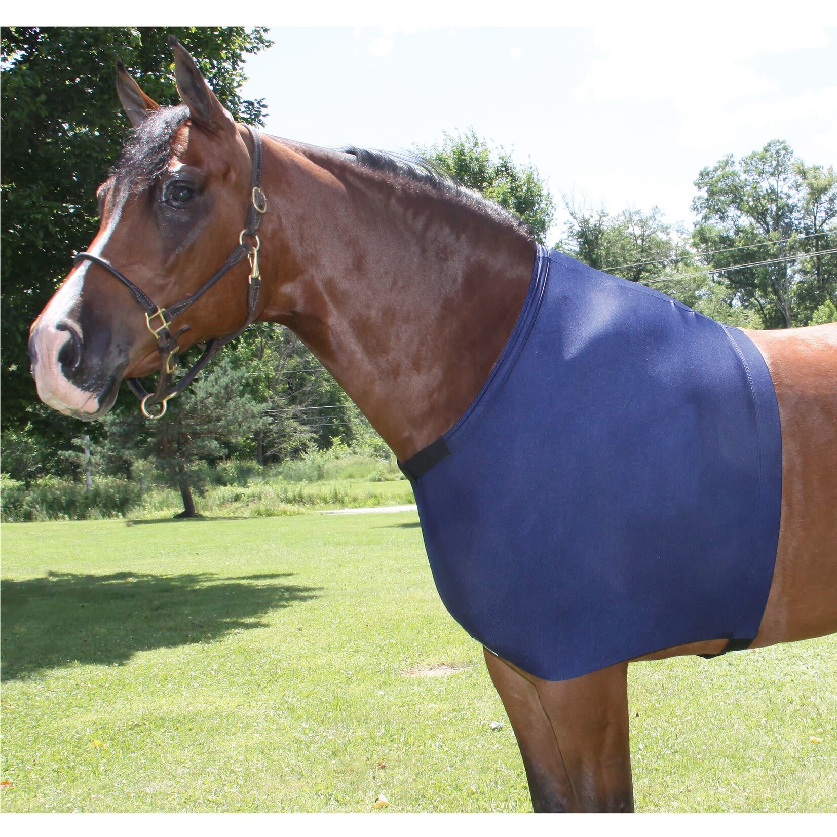Schneiders Schneiders UltraFlex Shoulder Guard