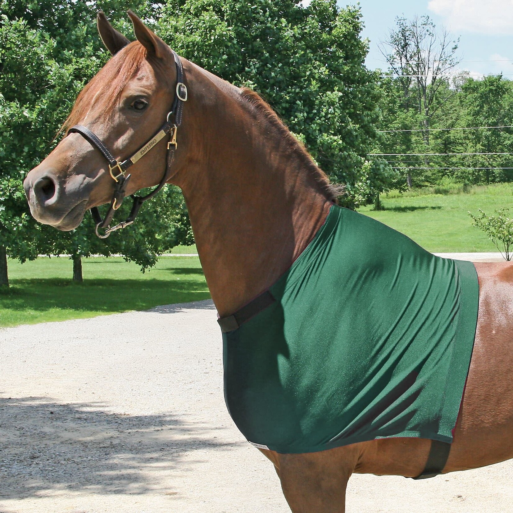 Schneiders Schneiders UltraFlex Shoulder Guard