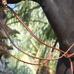 Equusport Equusport Jimmy's Fancy Stitch Martingale - 5/8”
