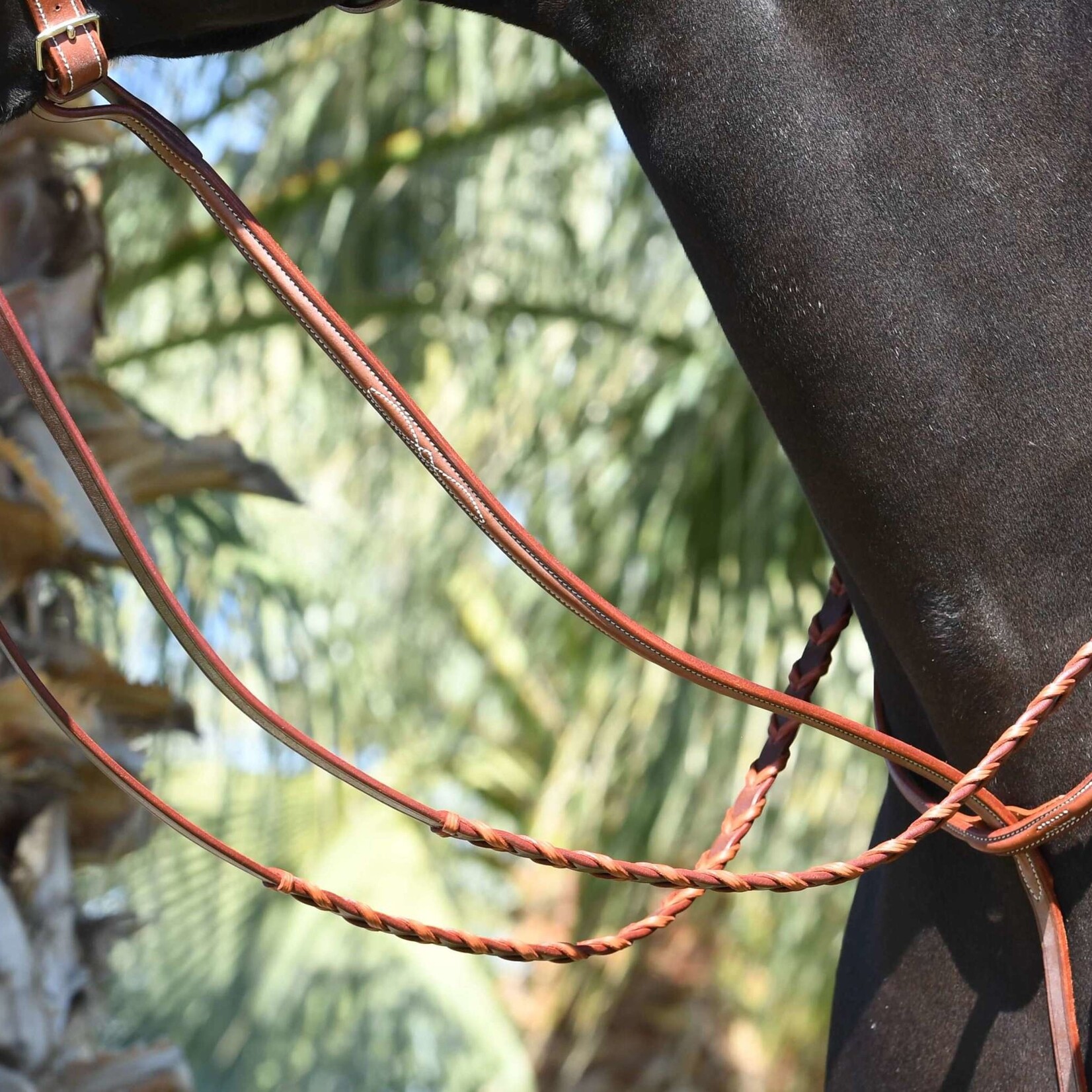 Equusport Equusport Jimmy's Fancy Stitch Martingale - 5/8”