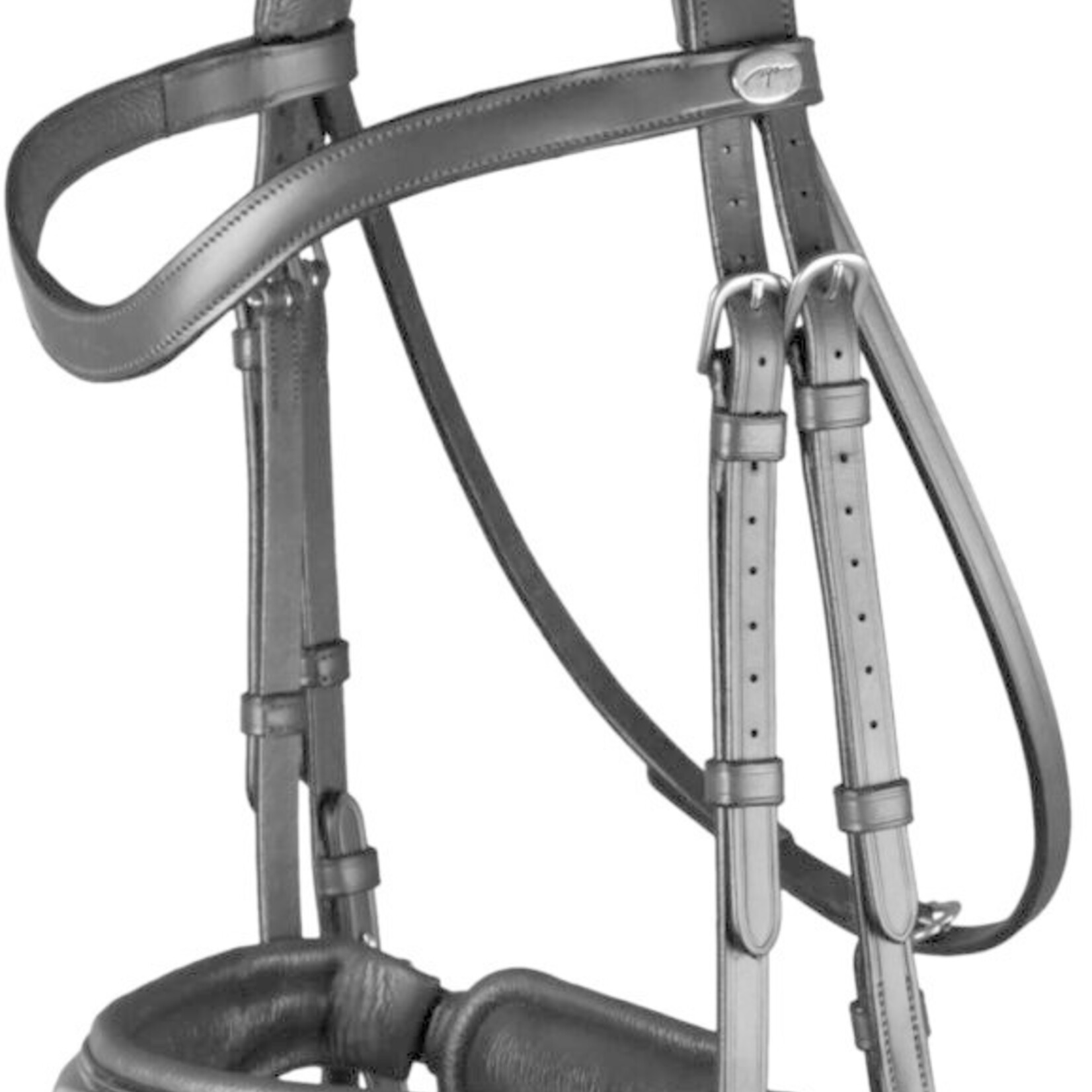 Dy'on WODCAM Dy'on Flat Leather Dressage Snaffle Bridle -Large crank flash noseband bridle, black padding. Reins sold separately.