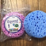 Small Round Sponge - Assorted Colors
