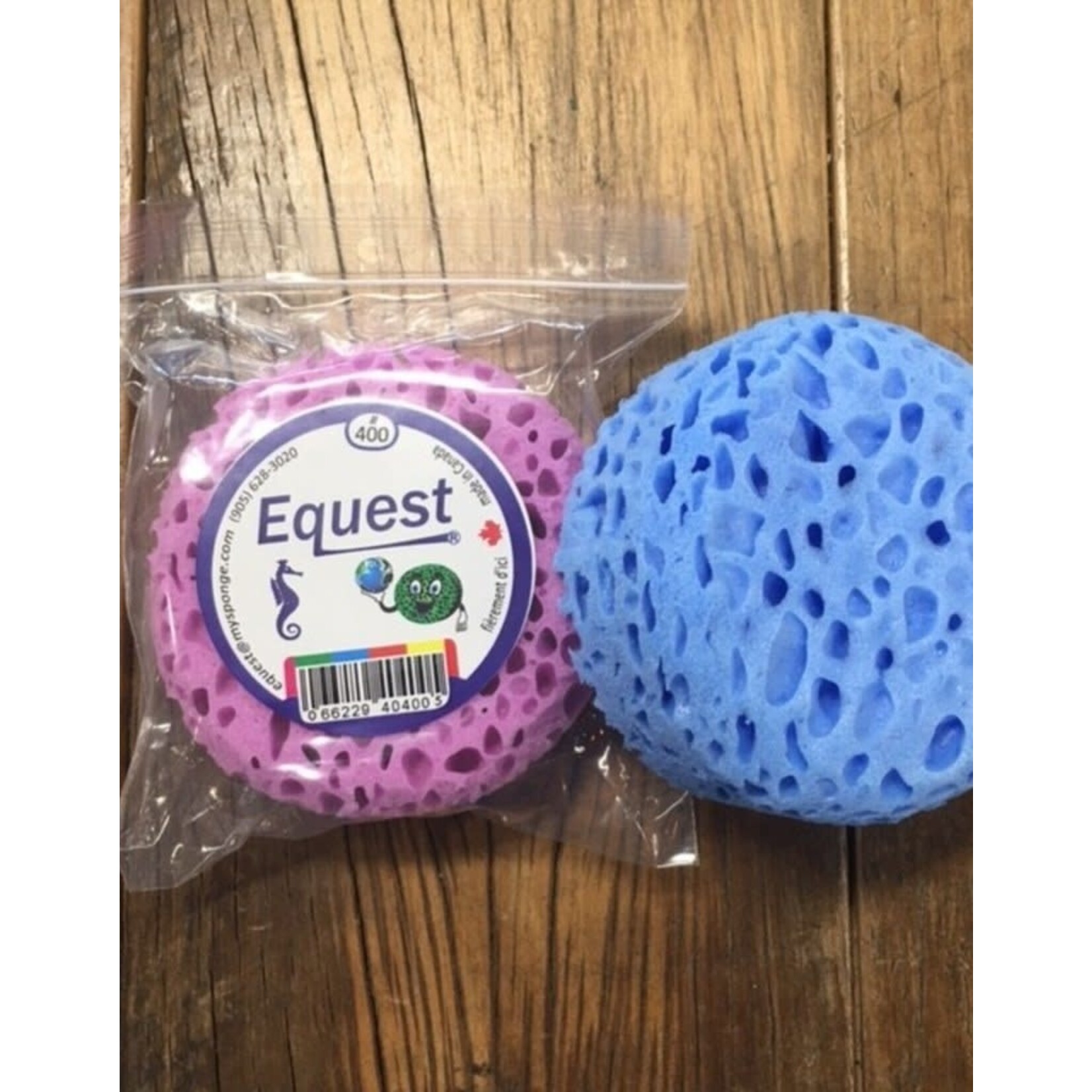 Small Round Sponge - Assorted Colors