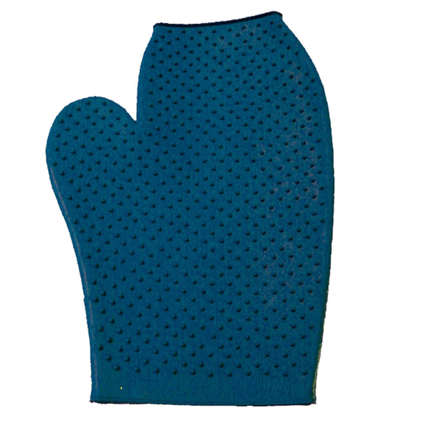 Rubber Grooming Glove