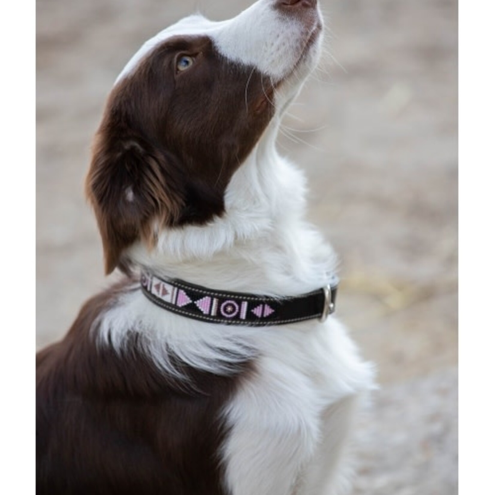Penelope Pearl Dog Collar