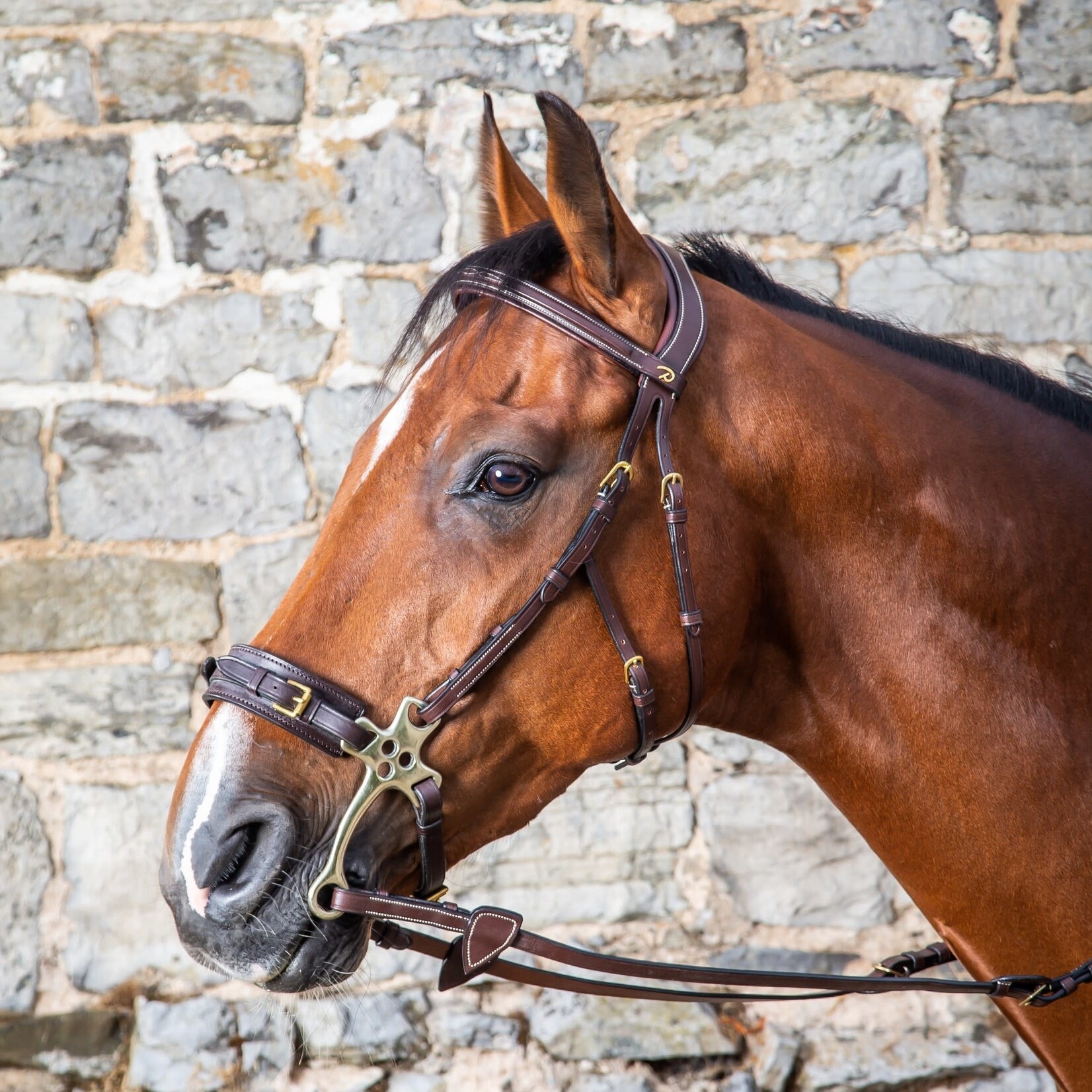 Dy'on DYFADX Dy'on Collection Hackamore Bridle Headpiece