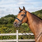 Dy'on *Special Order Dy'on Rolled Dressage large crank noseband double bridle patent black leather w/ white padding and special order V shape pink Swarovski browband