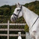 Dy'on *Special Order Dy'on Rolled Dressage Bridle -Large crank flash noseband bridle, Mat black leather, black padding with V shape pink gold Swarovski browband