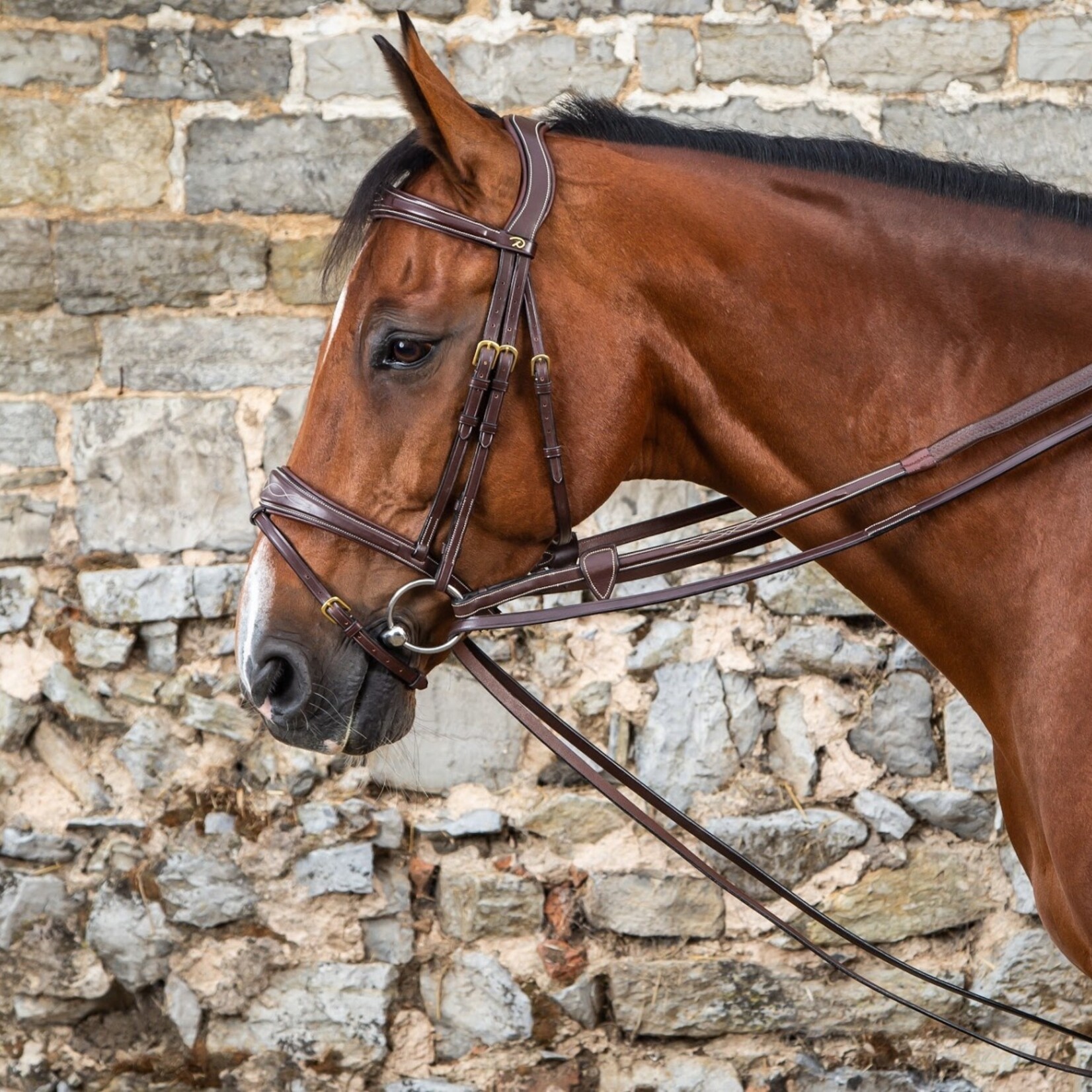 Dy'on DY08A Dy’on Collection Full Leather Draw Reins, Cream Stitching, Brass Hardware, removable leather girth loop