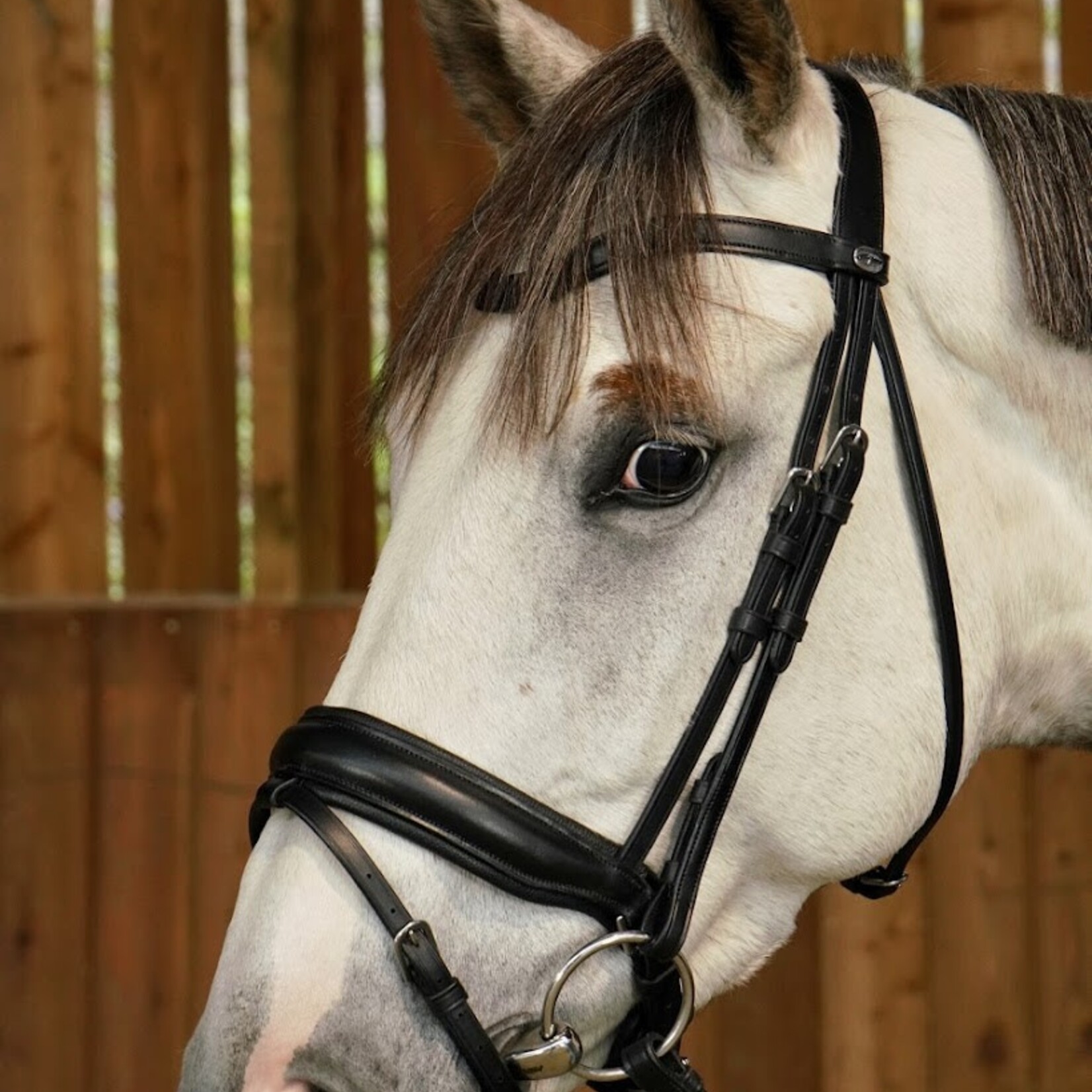Dy'on WODCAM Dy'on Flat Leather Dressage Snaffle Bridle -Large crank flash noseband bridle, black padding. Reins sold separately.
