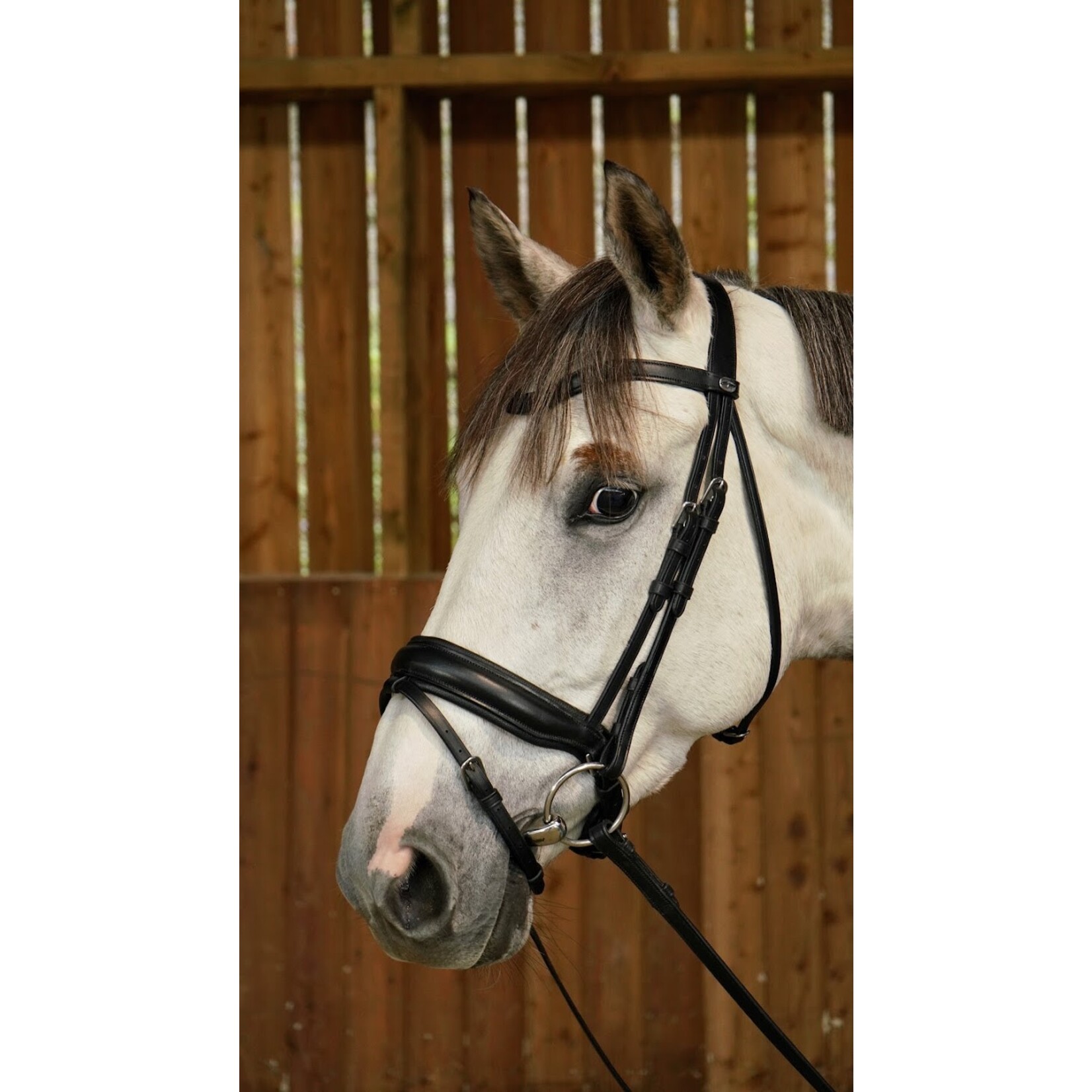 Dy'on WODCAM Dy'on Flat Leather Dressage Snaffle Bridle -Large crank flash noseband bridle, black padding. Reins sold separately.