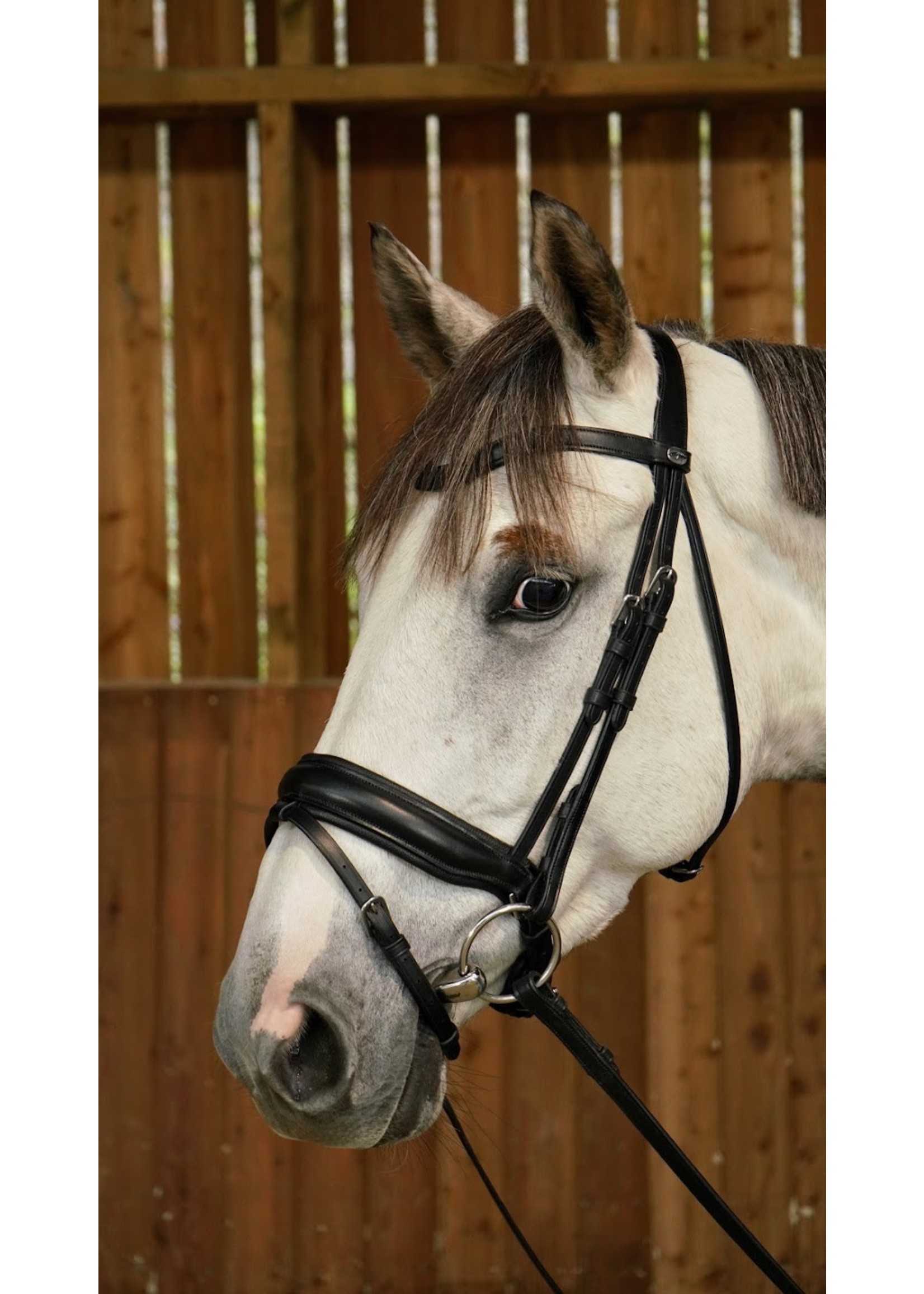 Dy'on WODCAM Dy'on Flat Leather Dressage Snaffle Bridle -Large crank flash  noseband bridle, black padding. Reins sold separately.