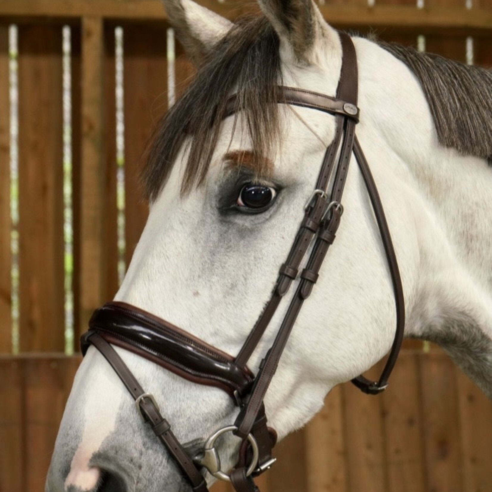 Dy'on WODCAM Dy'on Flat Leather Dressage Snaffle Bridle -Large crank flash noseband bridle, black padding. Reins sold separately.