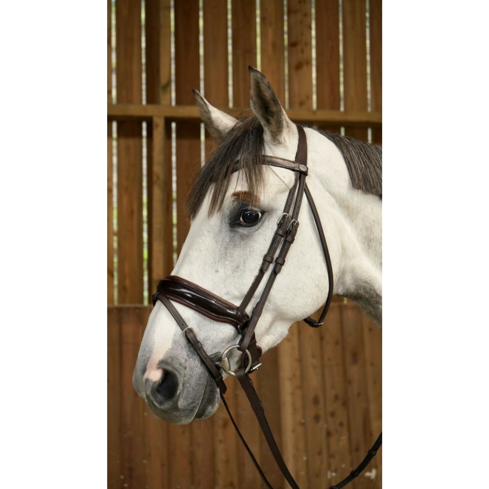Dy'on WODCAM Dy'on Flat Leather Dressage Snaffle Bridle -Large crank flash noseband bridle, black padding. Reins sold separately.