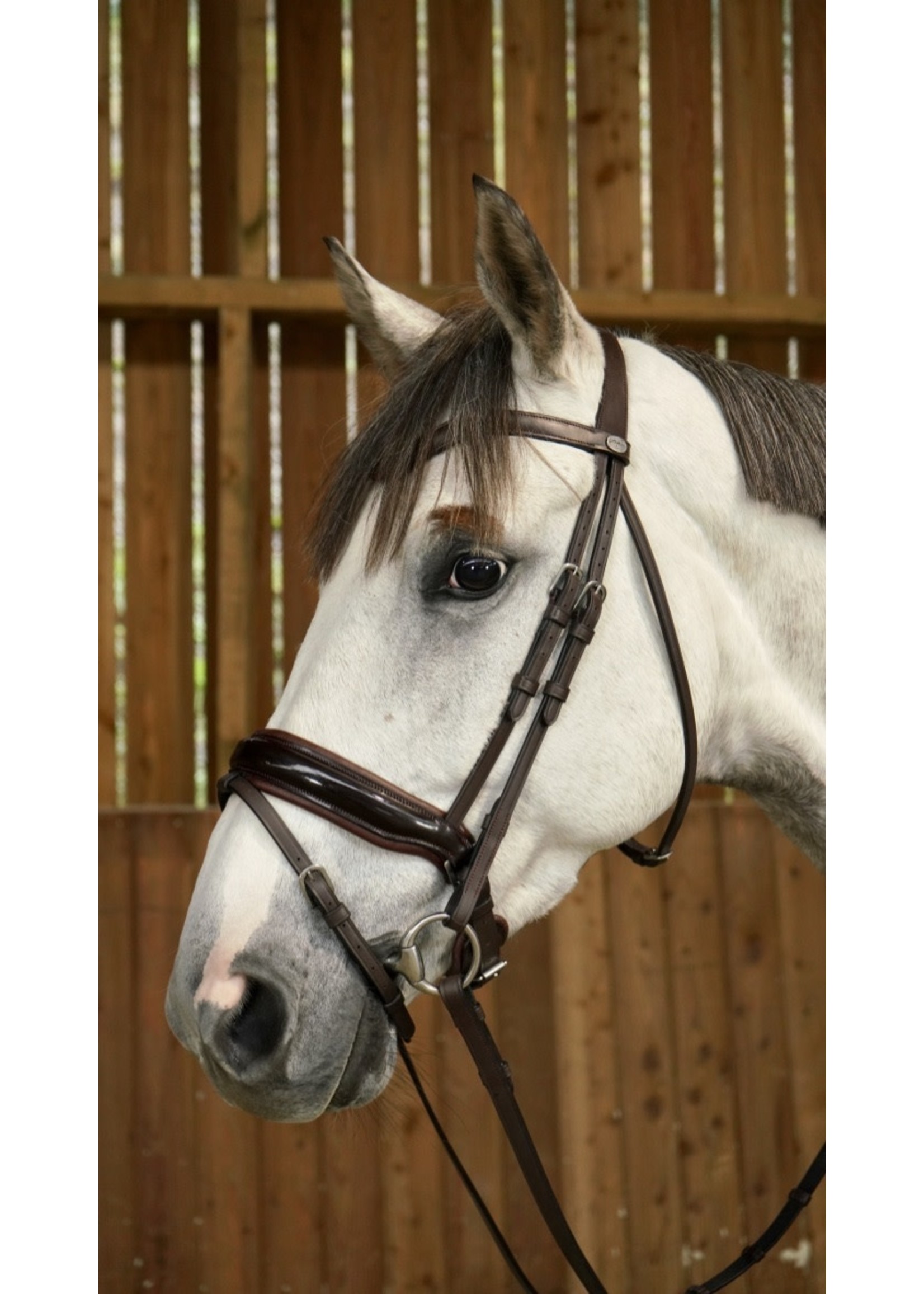 Dy'on WODCAM Dy'on Flat Leather Dressage Snaffle Bridle -Large crank flash  noseband bridle, black padding. Reins sold separately.