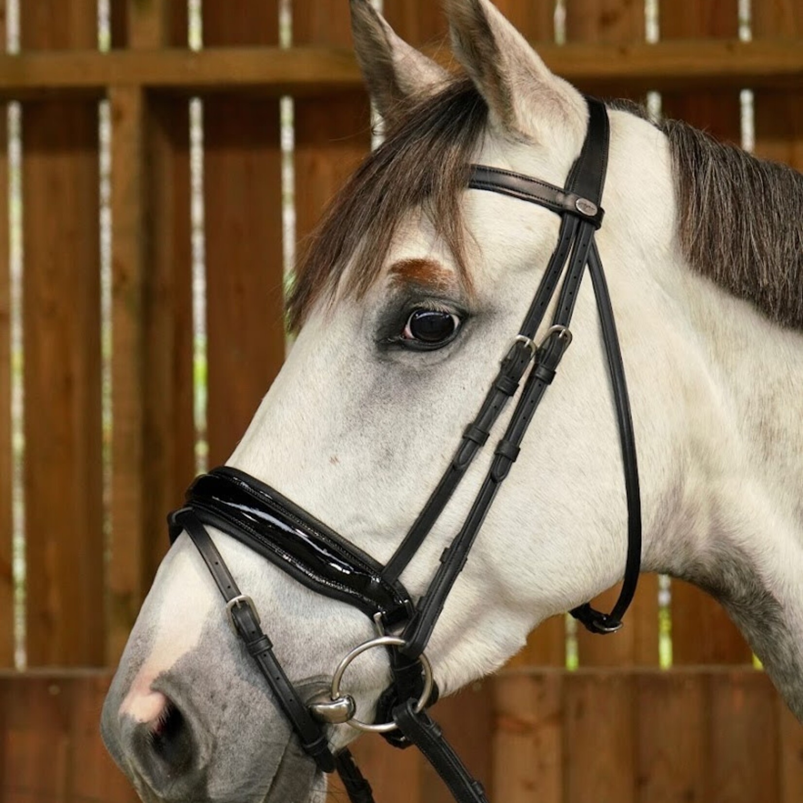 Dy'on WODCAM Dy'on Flat Leather Dressage Snaffle Bridle -Large crank flash noseband bridle, black padding. Reins sold separately.