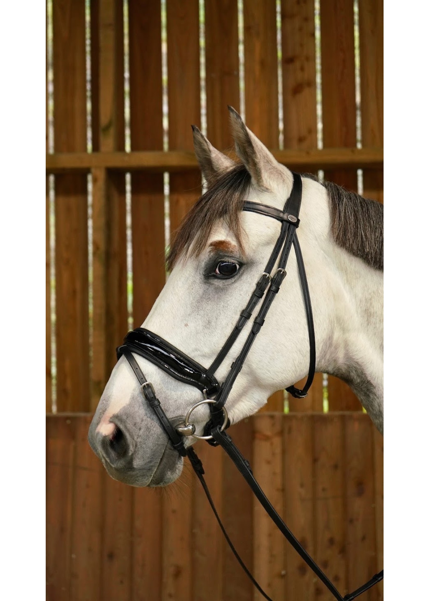 Dy'on WODCAM Dy'on Flat Leather Dressage Snaffle Bridle -Large crank flash  noseband bridle, black padding. Reins sold separately.