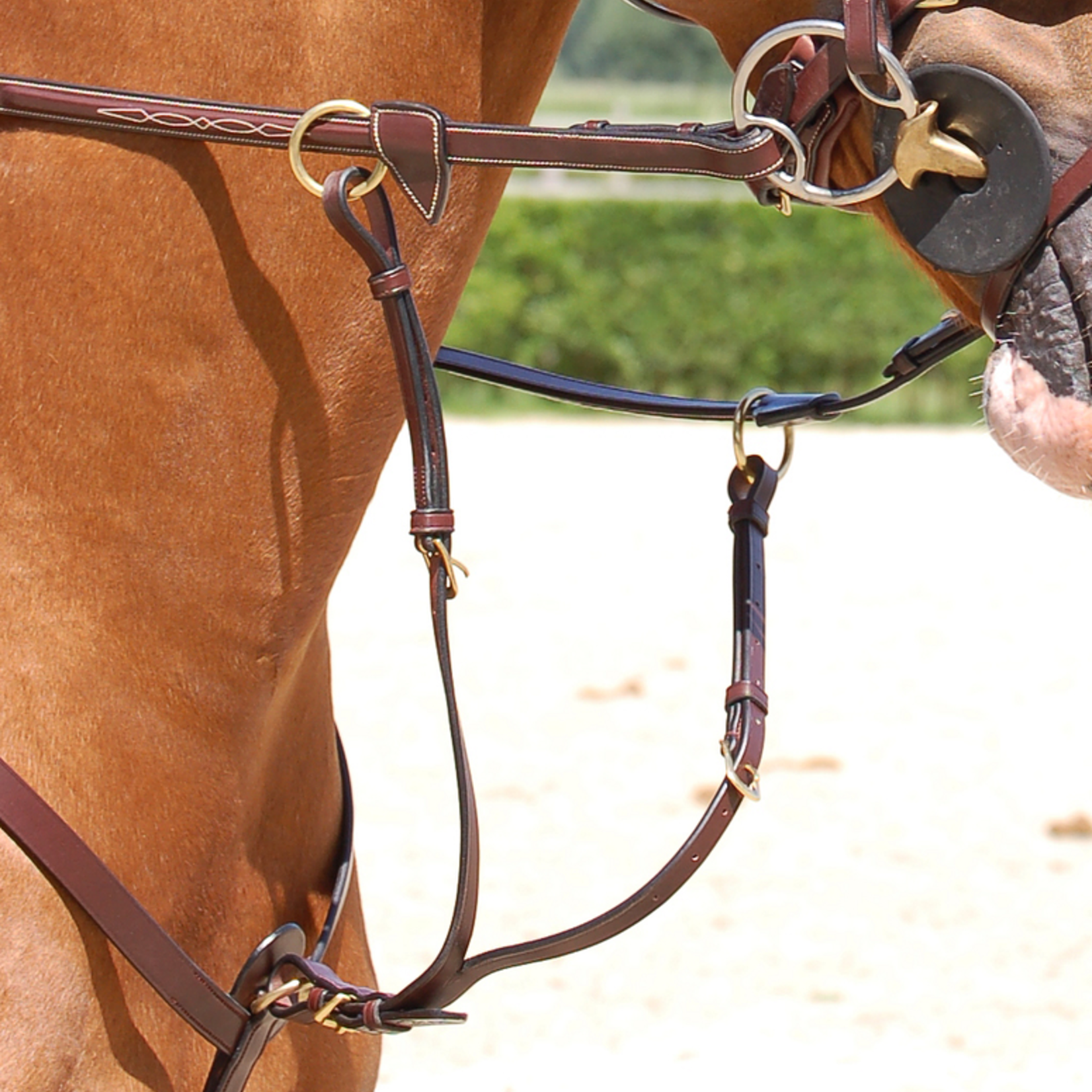 Dy'on DY07A Dy’on D-Collection Running Martingale Attachment