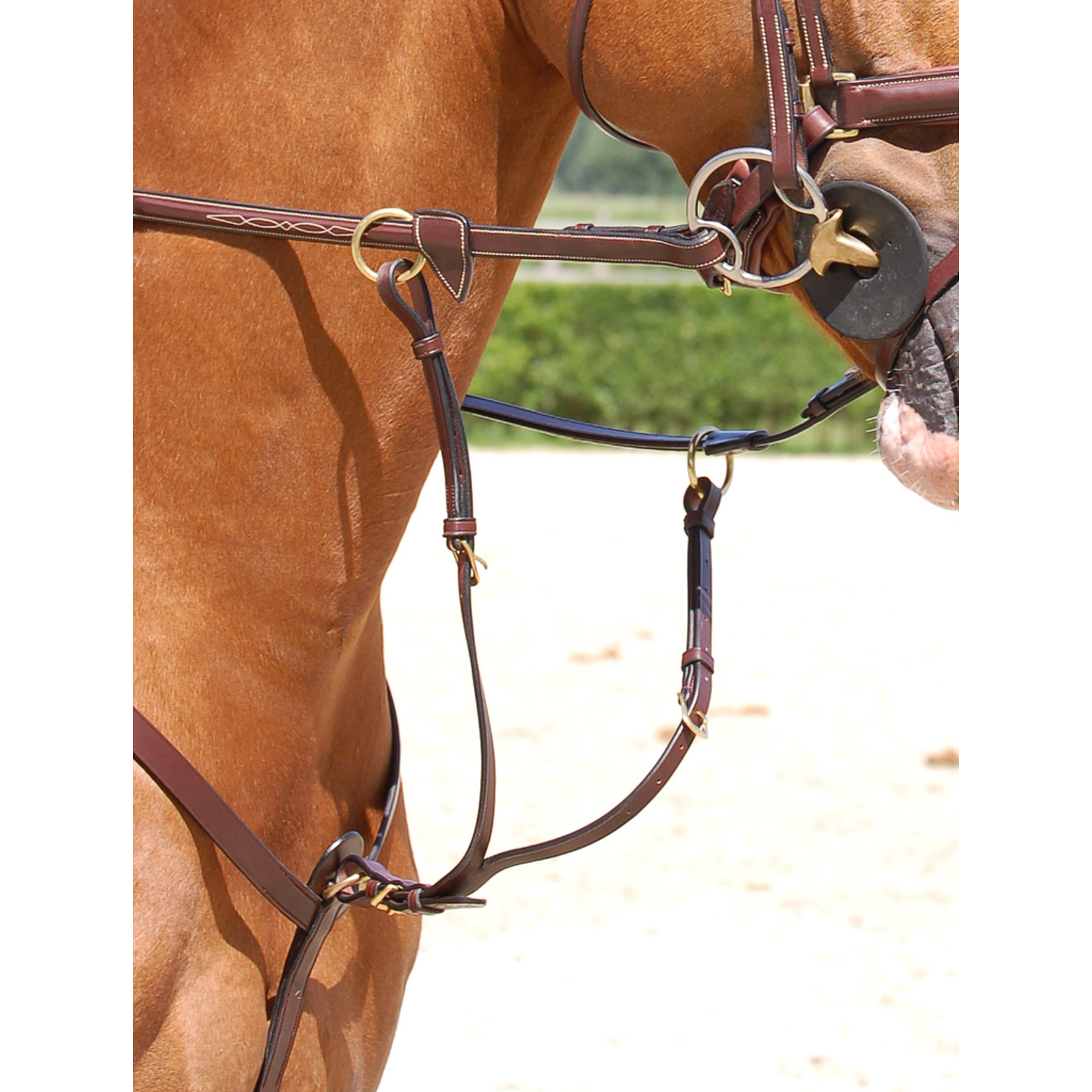 Dy'on DY07A Dy’on D-Collection Running Martingale Attachment