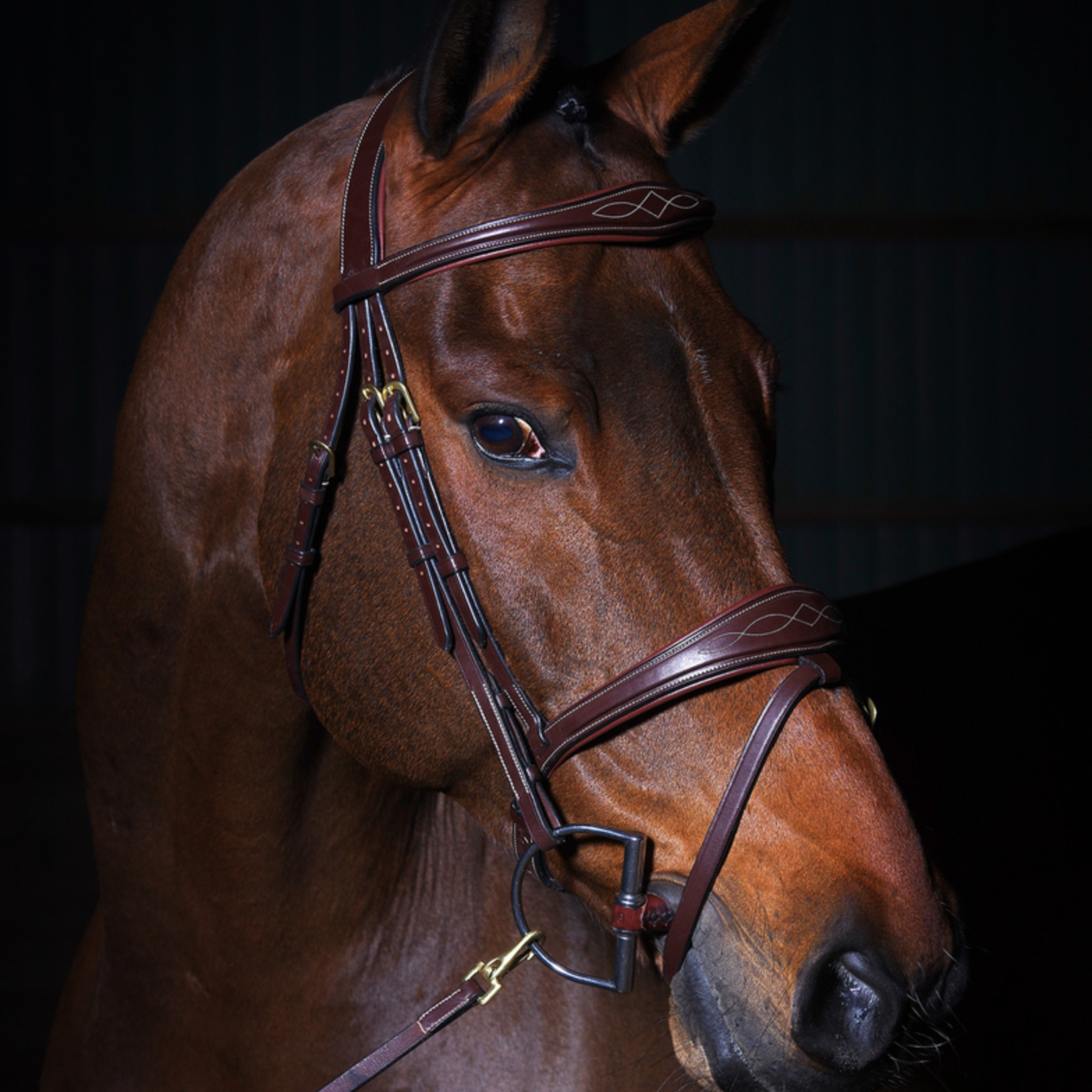 Dy'on DYABAB Dy'on D-Collection Anatomic Flash Noseband Bridle
