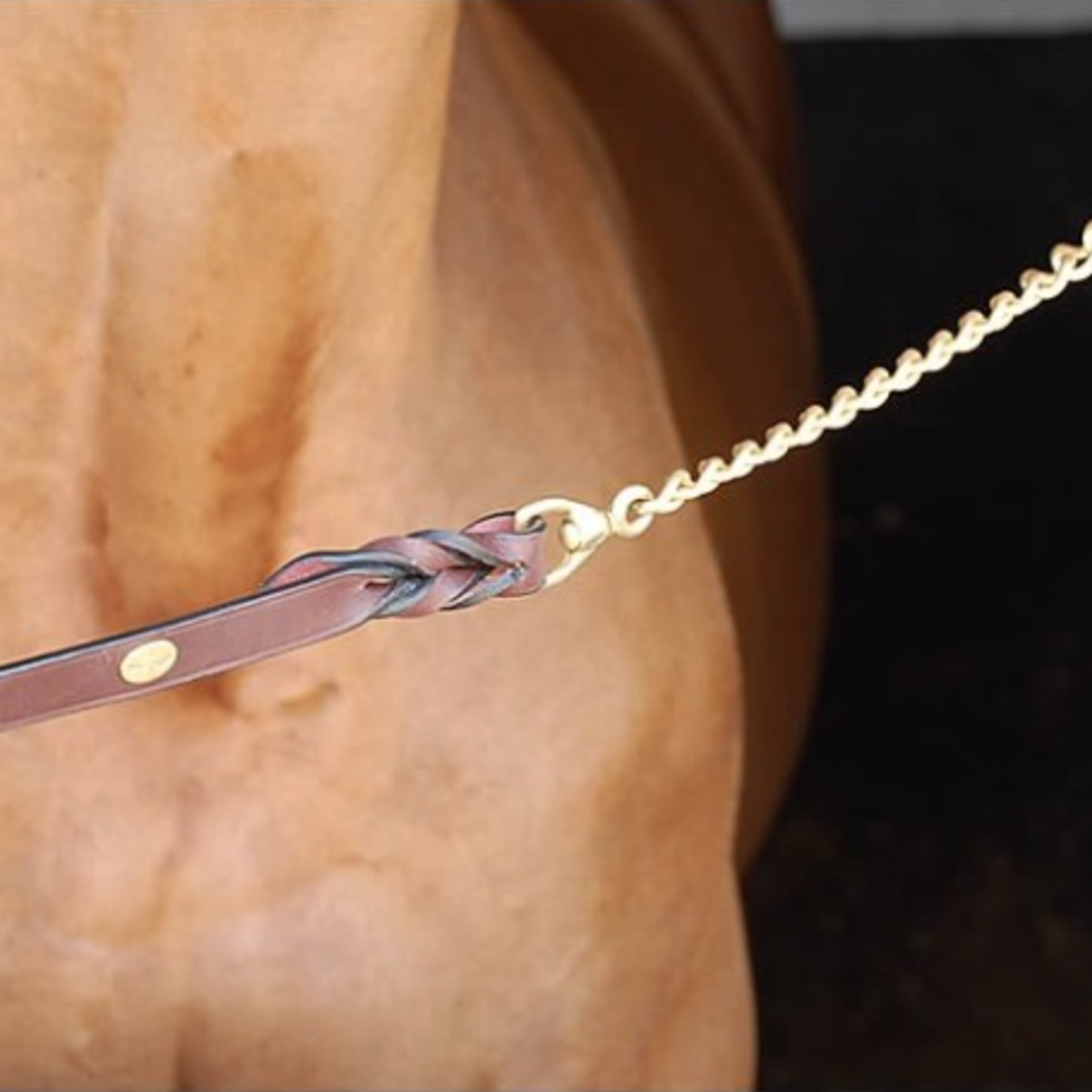 Dy'on WO10B Dy'on Leather Lead