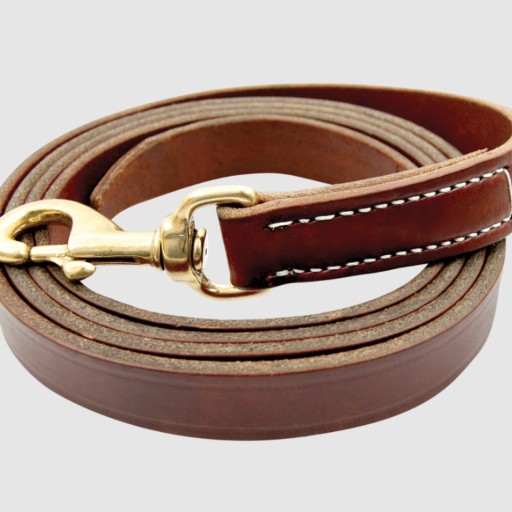 Walsh Company Walsh Leather Lead w/ Snap