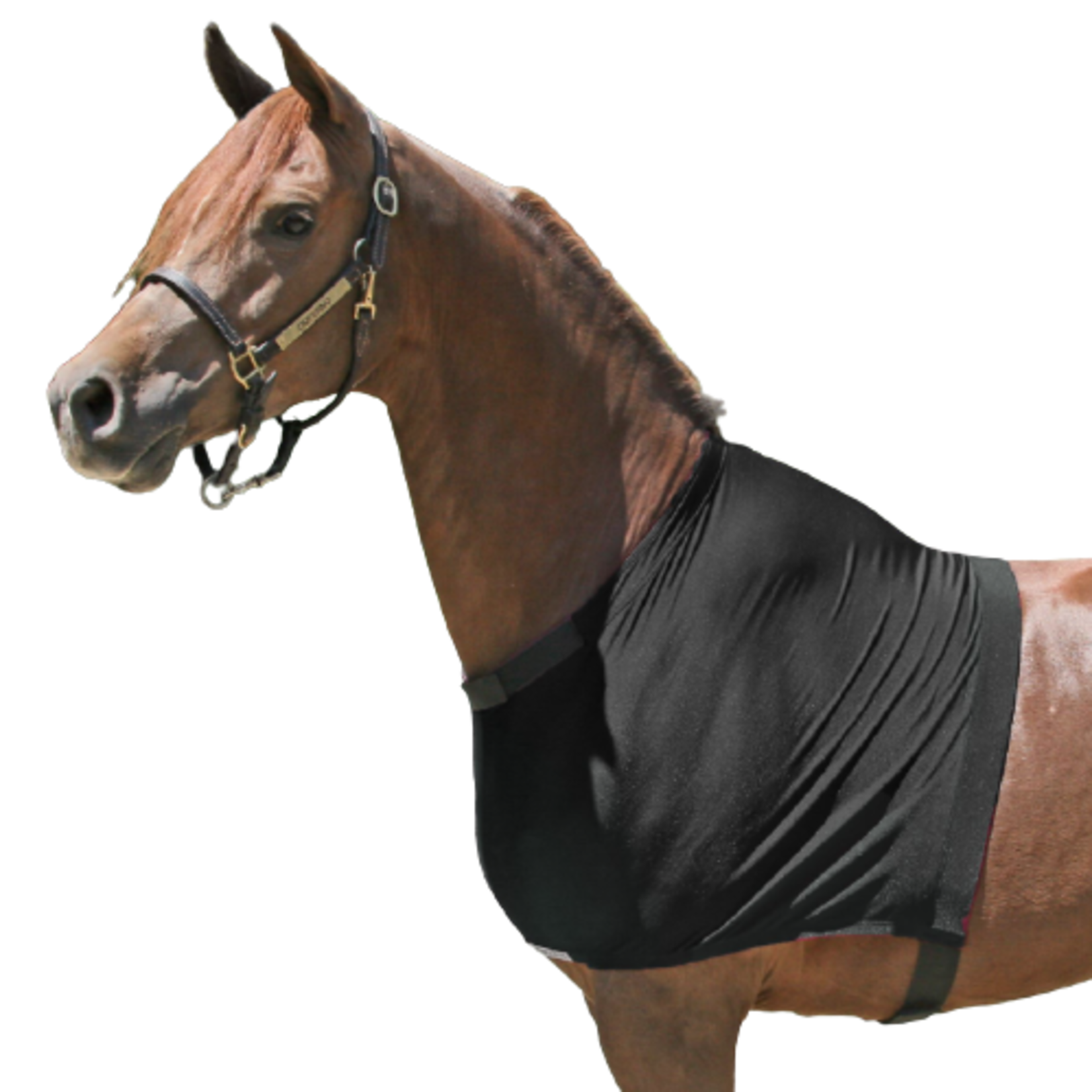 Schneiders Schneiders UltraFlex Shoulder Guard