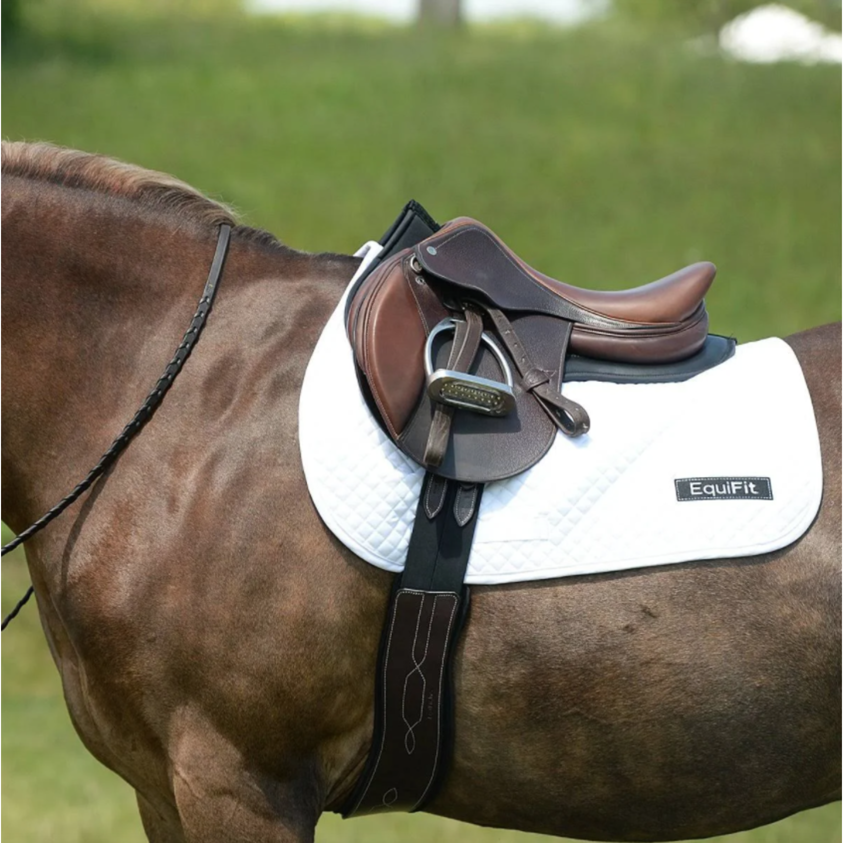 Equifit Anatomical Hunter Girth with SheepsWool Liner
