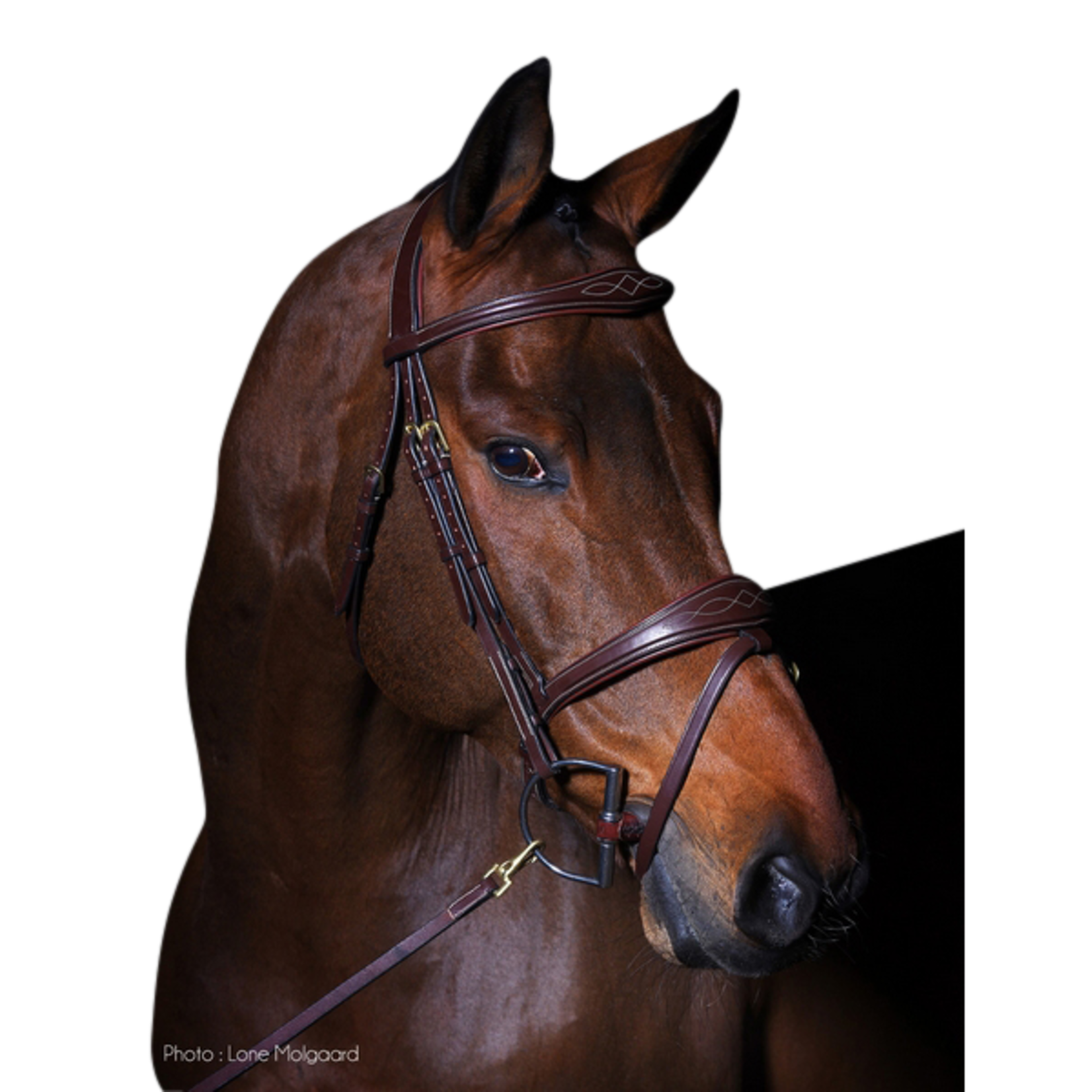 Dy'on DYABAB Dy'on D-Collection Anatomic Flash Noseband Bridle