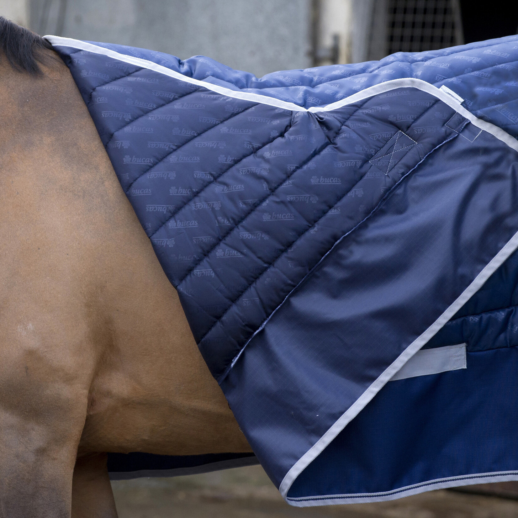 Bucas Bucas Select Quilted Stable Blanket