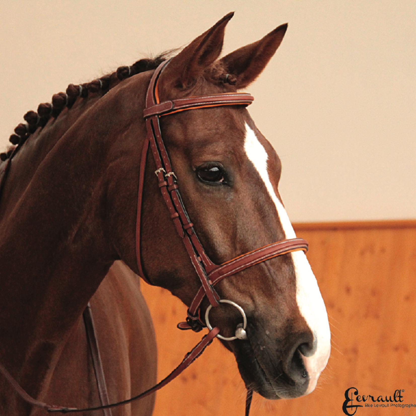 Butet Butet Hunter Bridle
